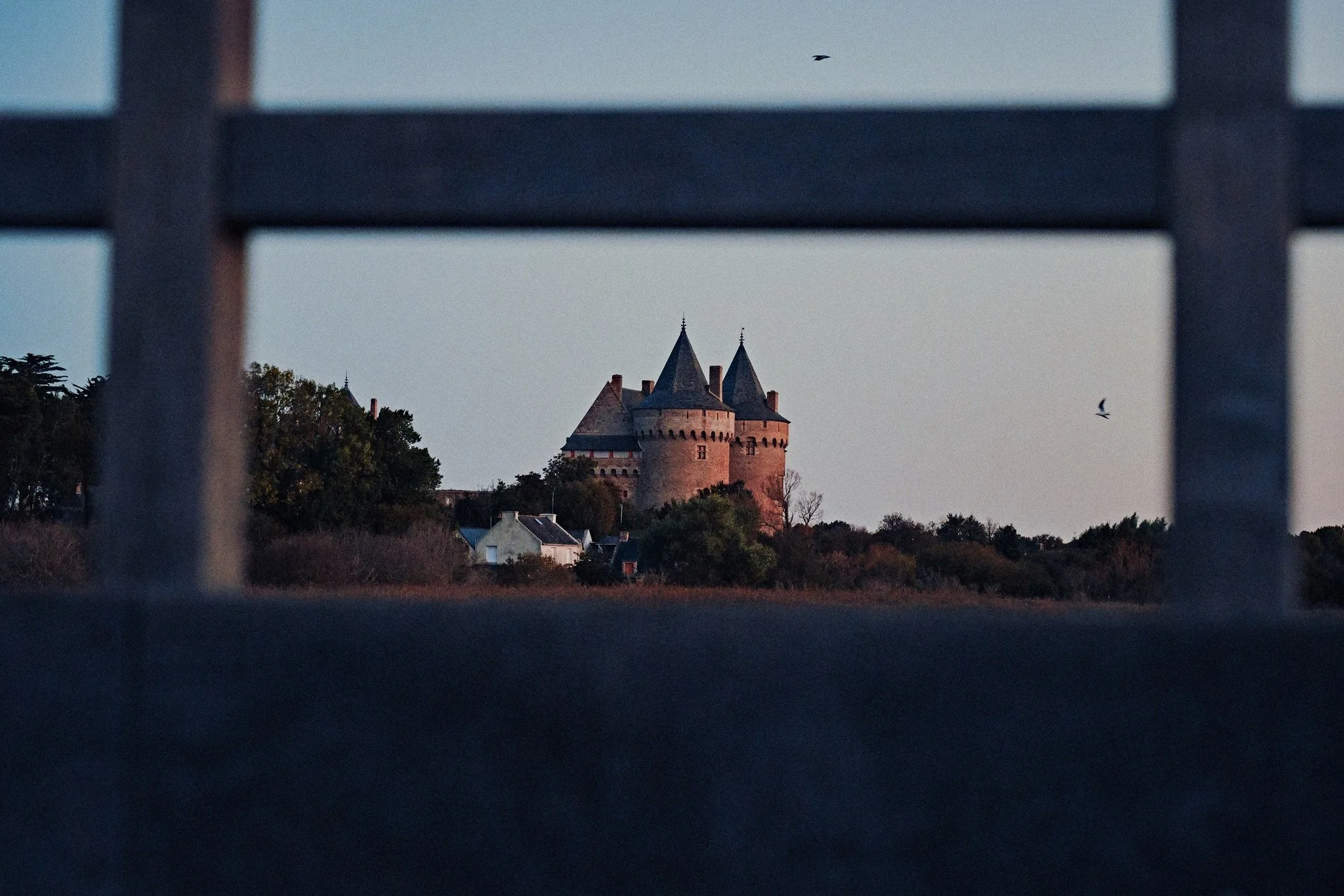 A castle with tall turrets seen through a metal fence at dusk.