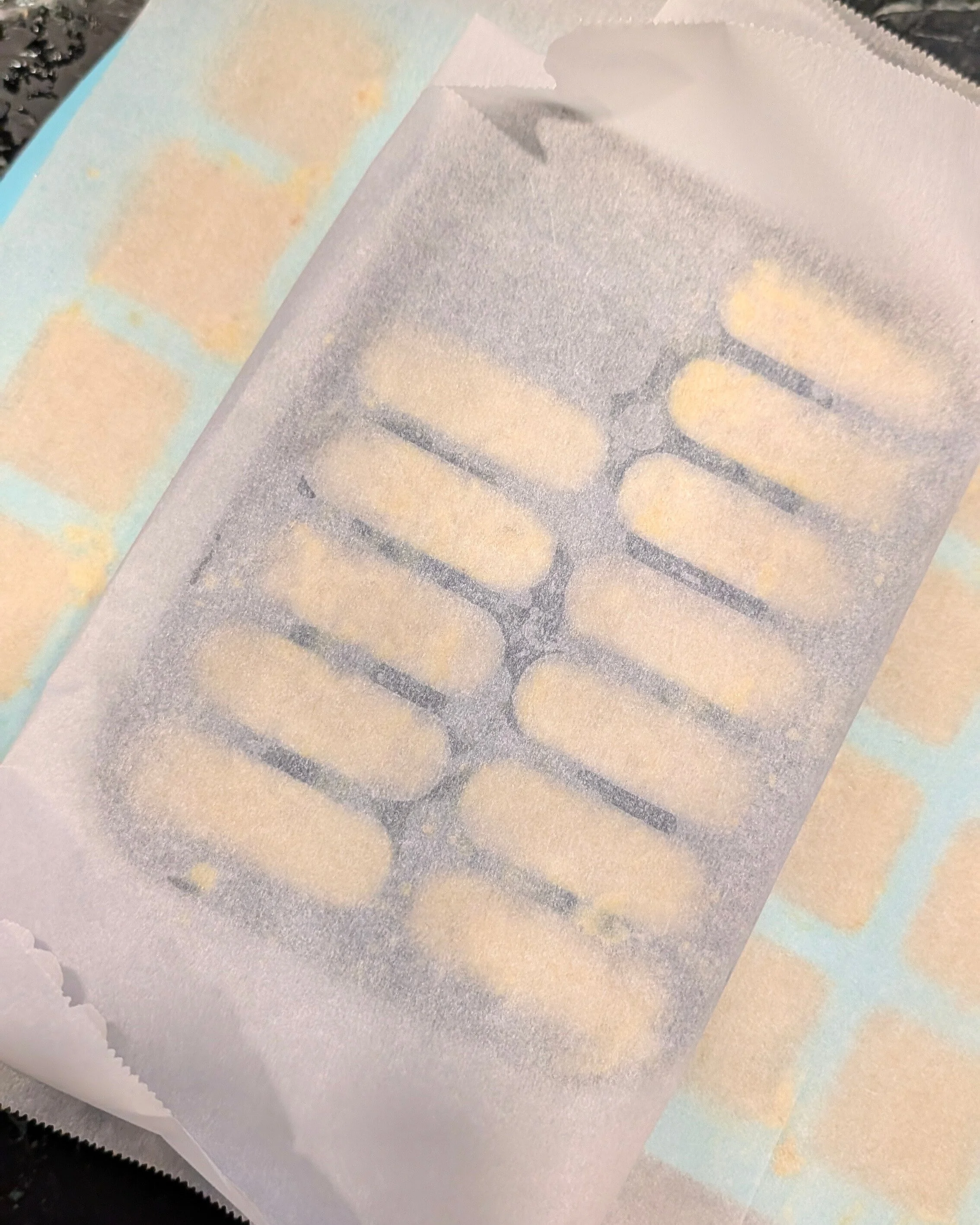 Cover with parchment paper to avoid freezer burn and to keep other smells seeping in