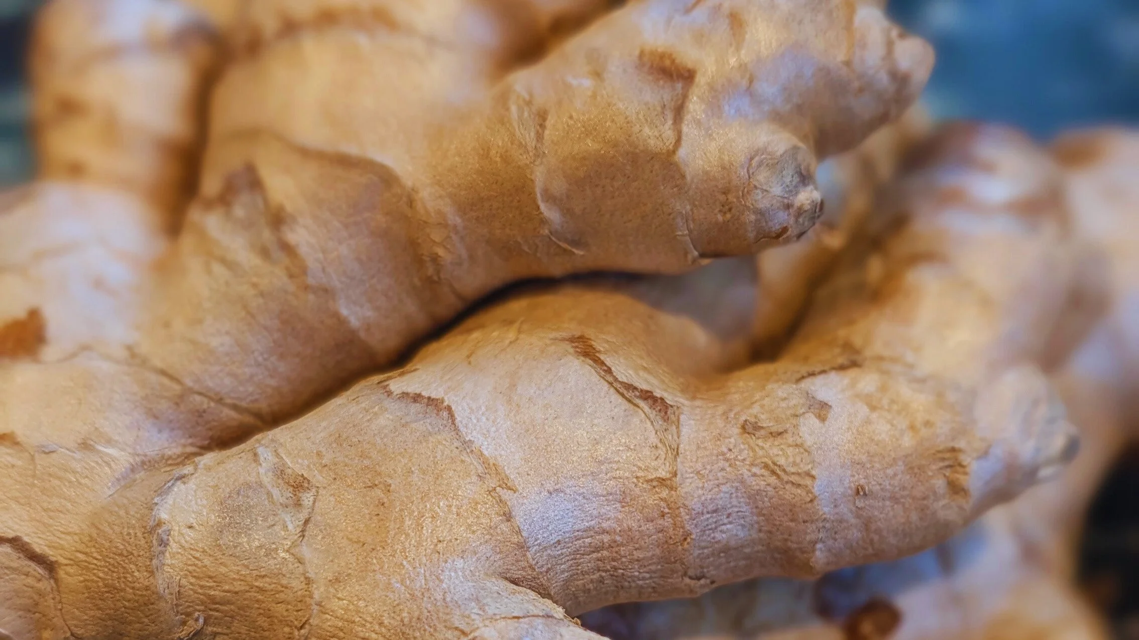 This is the kind of ginger you want to use - plump and firm with a smooth almost shiny skin