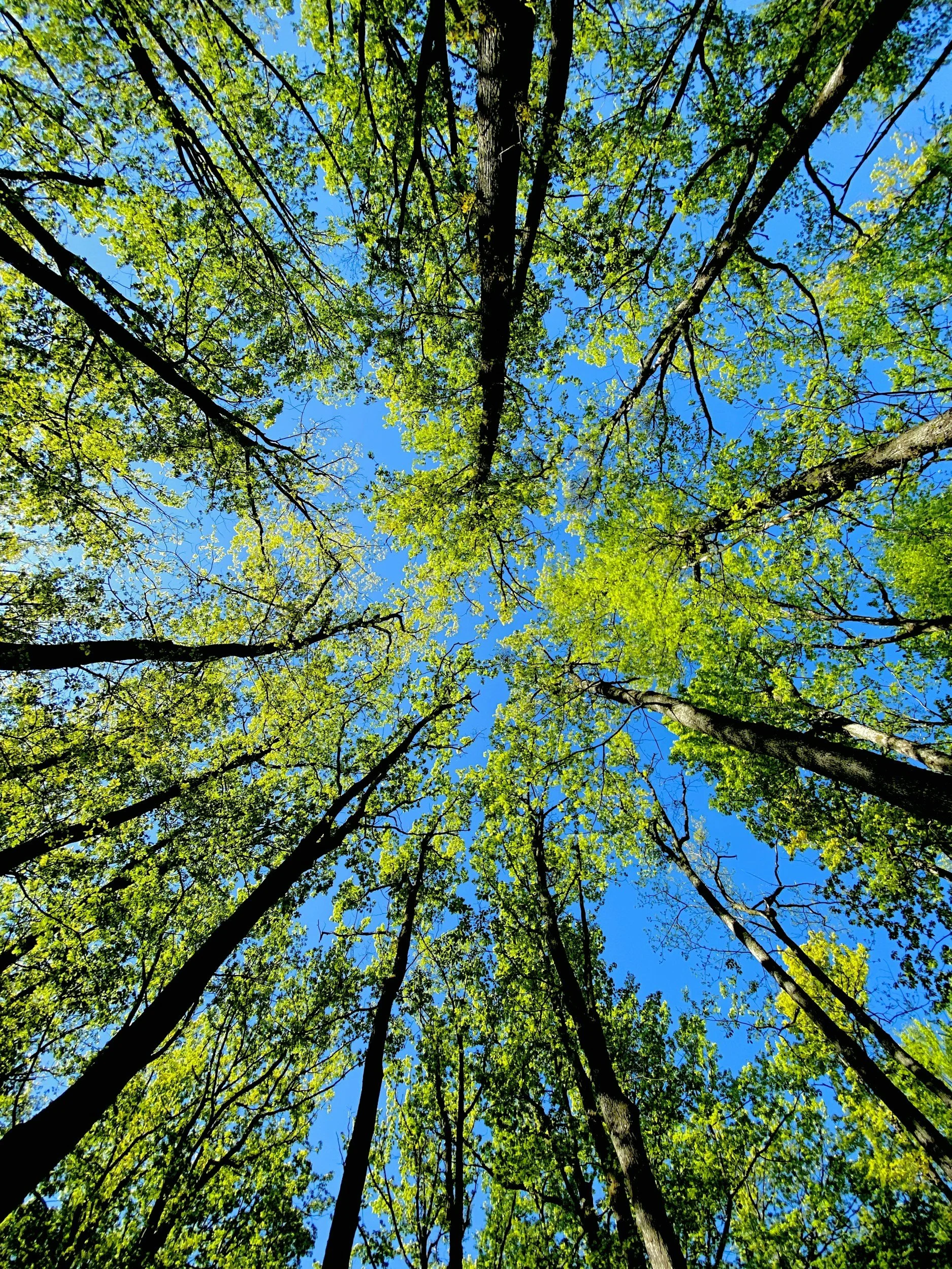 eternal perspective as a modern day christian