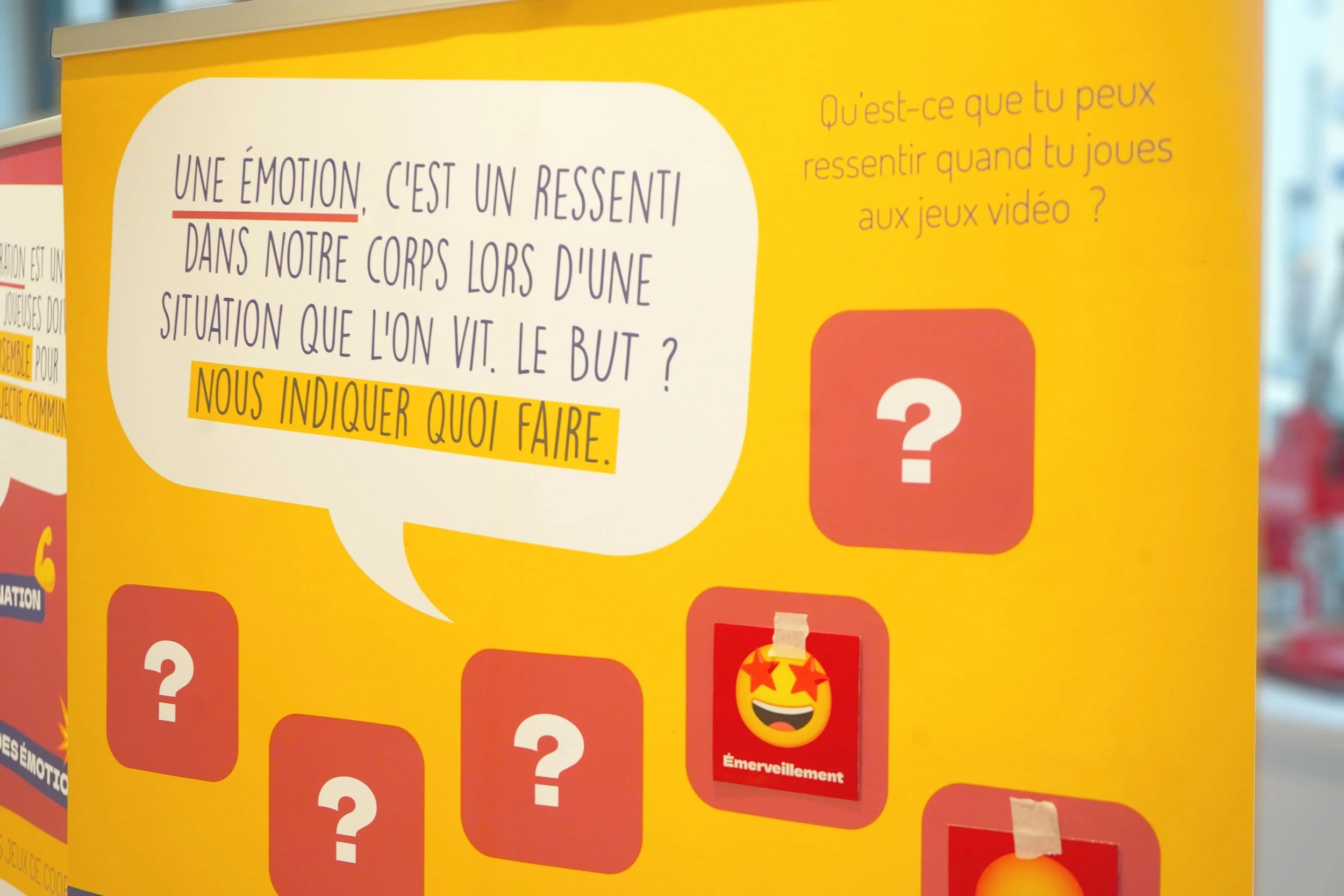 DSC00574-copie (1).jpg