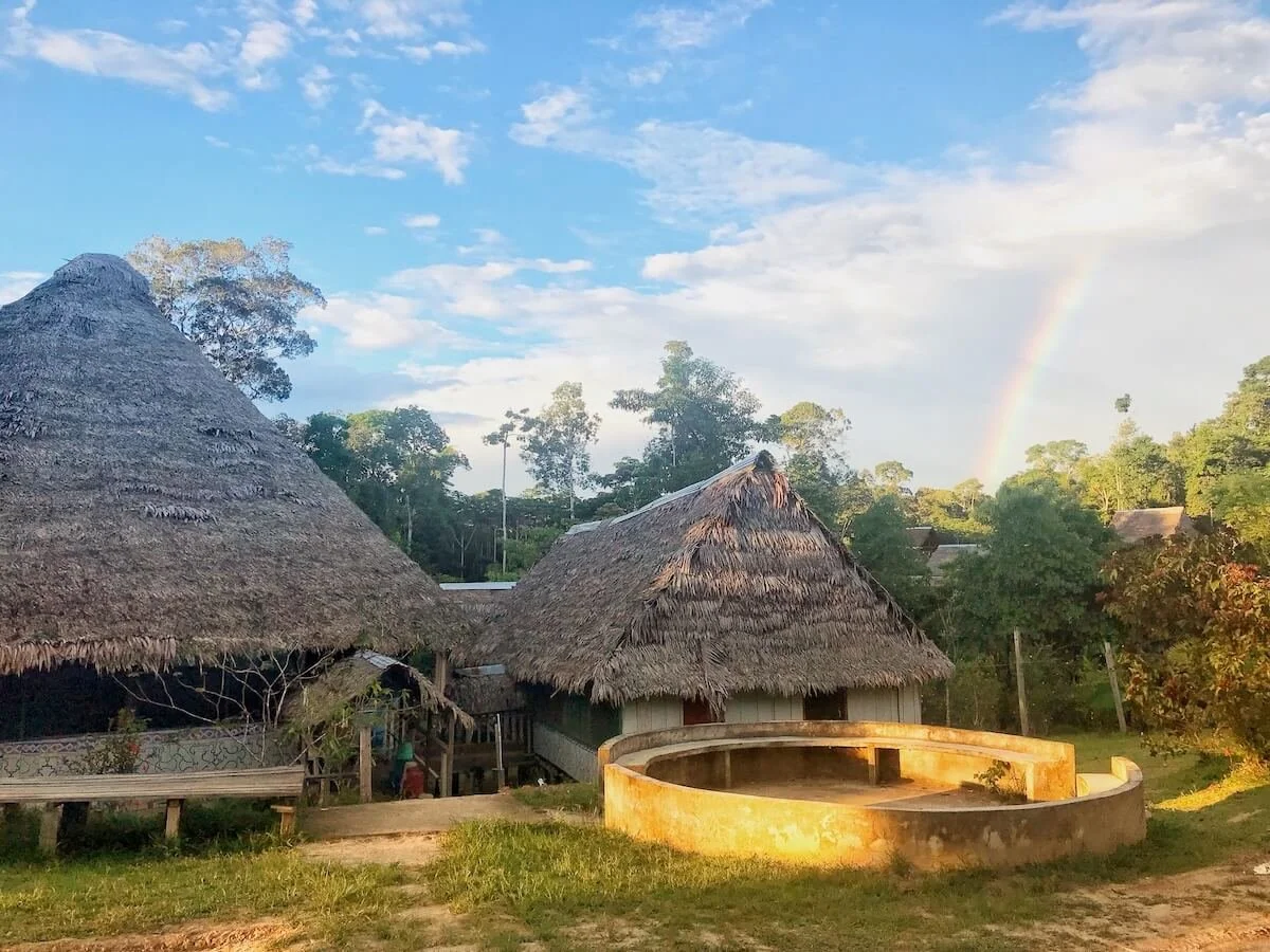 ayahuasca curandero training