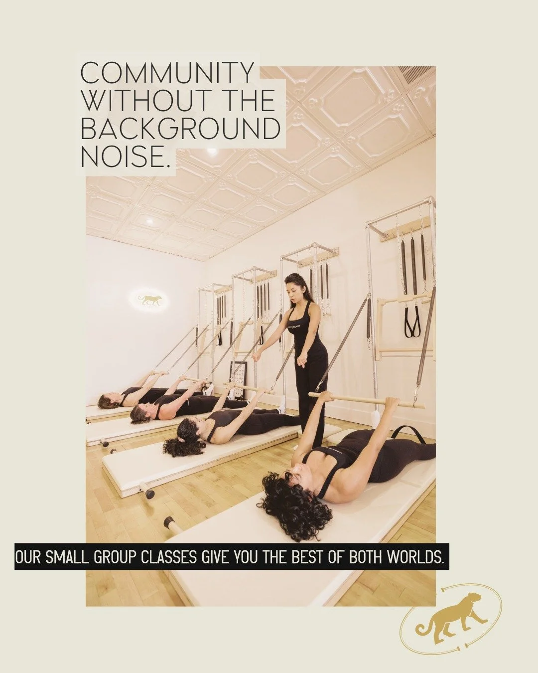 Our small group classes give you individualized attention with the energy of community. 
Fewer people, lots of guidance, and space to learn at your own pace.

New clients: check out the link in bio for intro offers.

#Pilates #ClassicalPilates #Austi