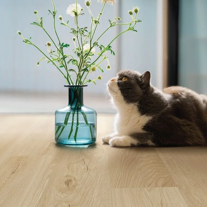 Curious cats and carefree floors 🐈 Engineered Floors PureGrain DLVT is built for life's little adventures (and spills!)💦

Call us at +1 780-452-4044 to learn more!

#Waterproof #PureGrain #EngineeredFloors #Flooring #Home #InteriorDesign