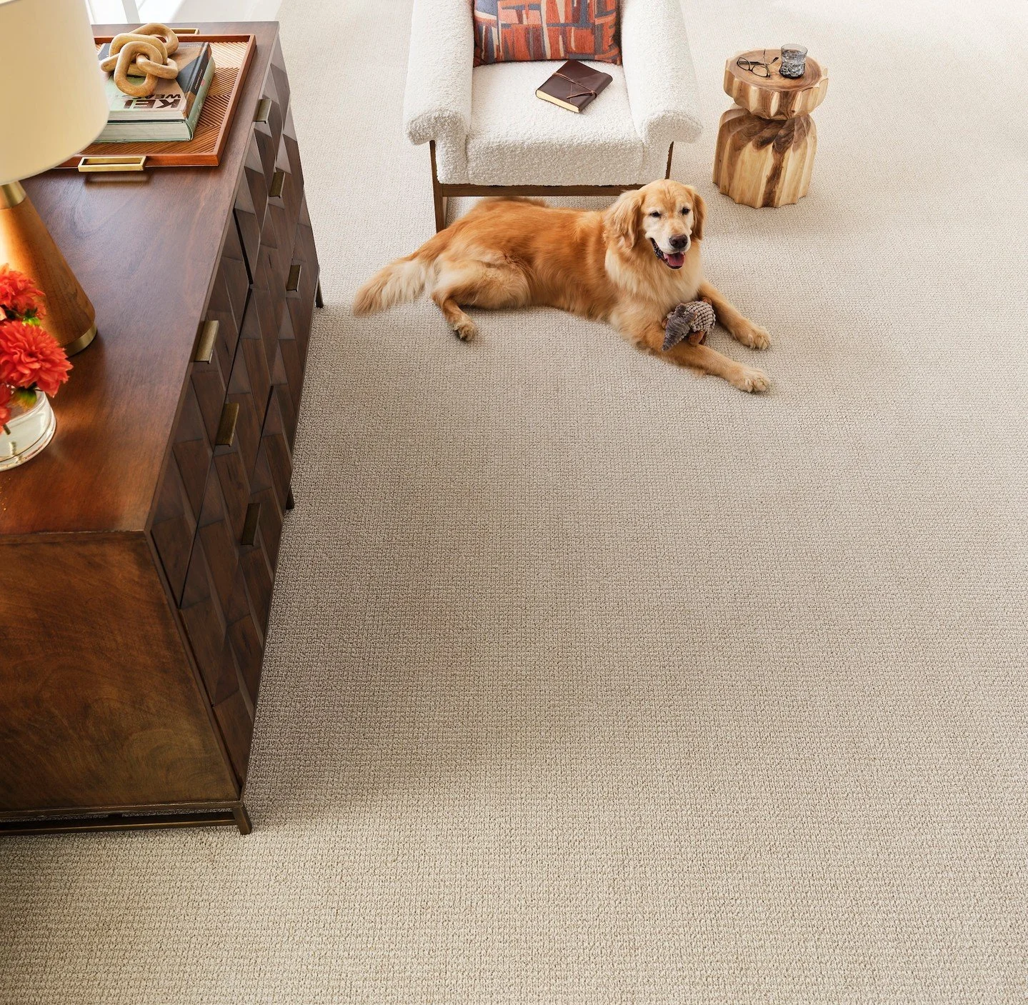 Tired of carpets that can't keep up? Upgrade to Mykonos for unmatched durability and the power of bleach cleaning. You (and your pup) will thank you! 😉 Featuring Mykonos 4539 Bay Dream

#EngineeredFloors #PureColor #FreedomToLive #DogFriendly #Happy