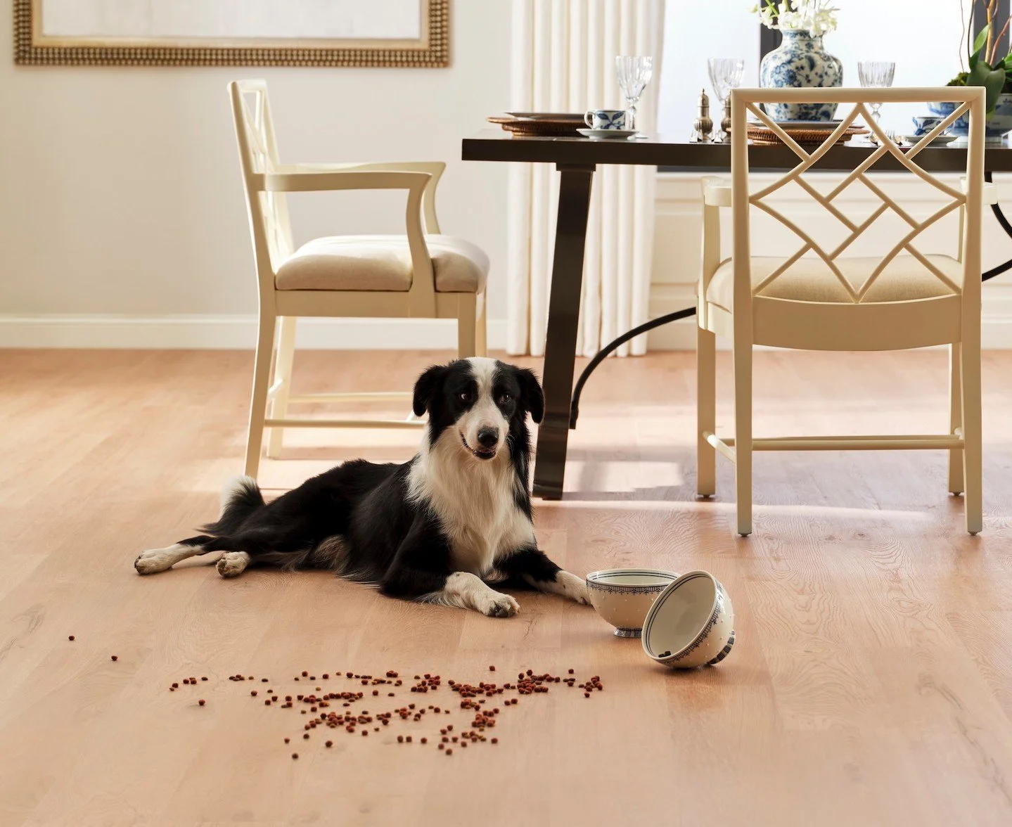 When your dog's enthusiasm outweighs their coordination 🌀🐾 Bless their heart &hearts;️ Proof that 'oops' moments don't have to ruin your floors. Divine's durability keeps your dining room looking its best.

Featuring Divine 1005 Tupelo

#Engineered