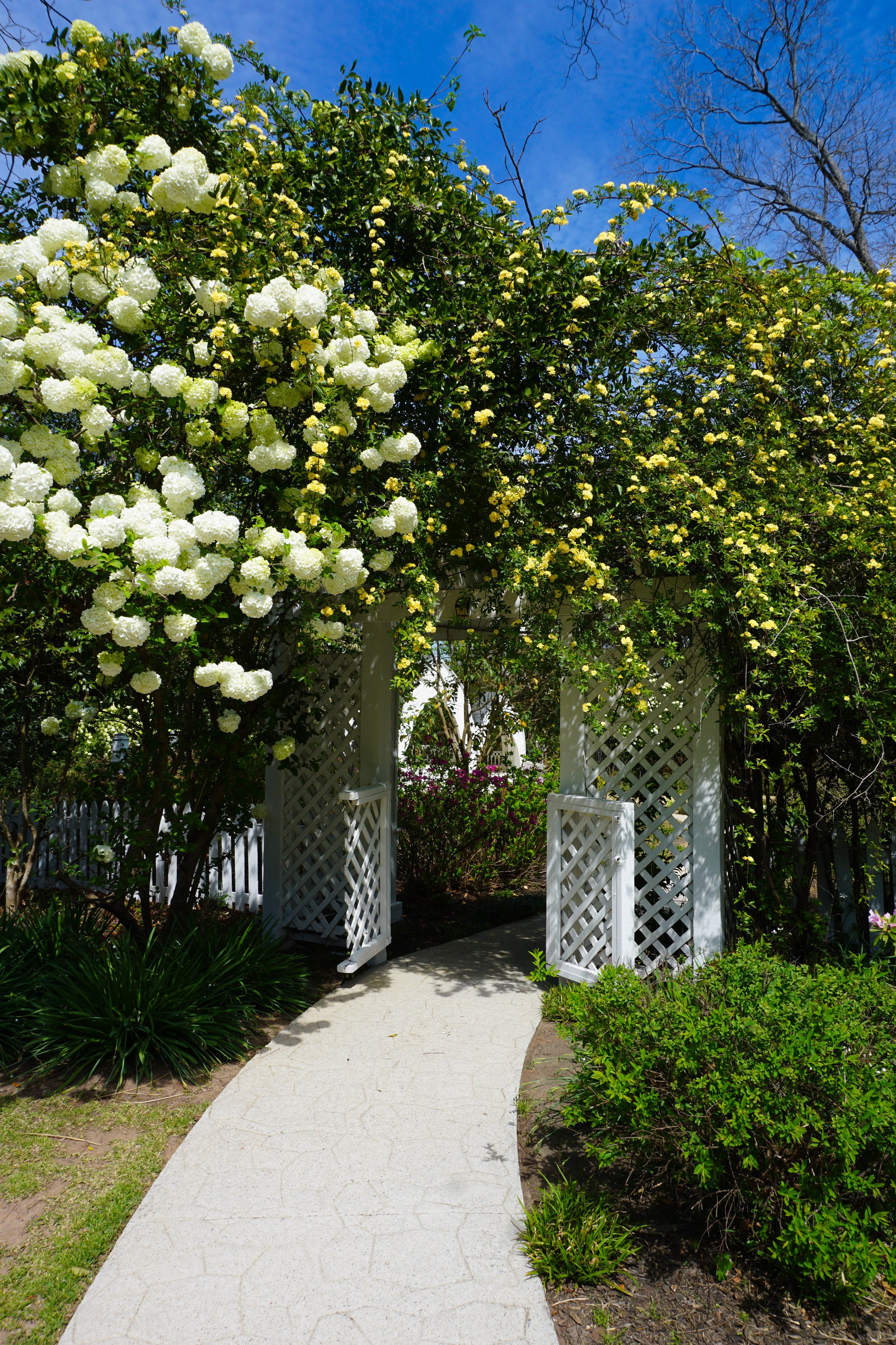 The Wildflower 301