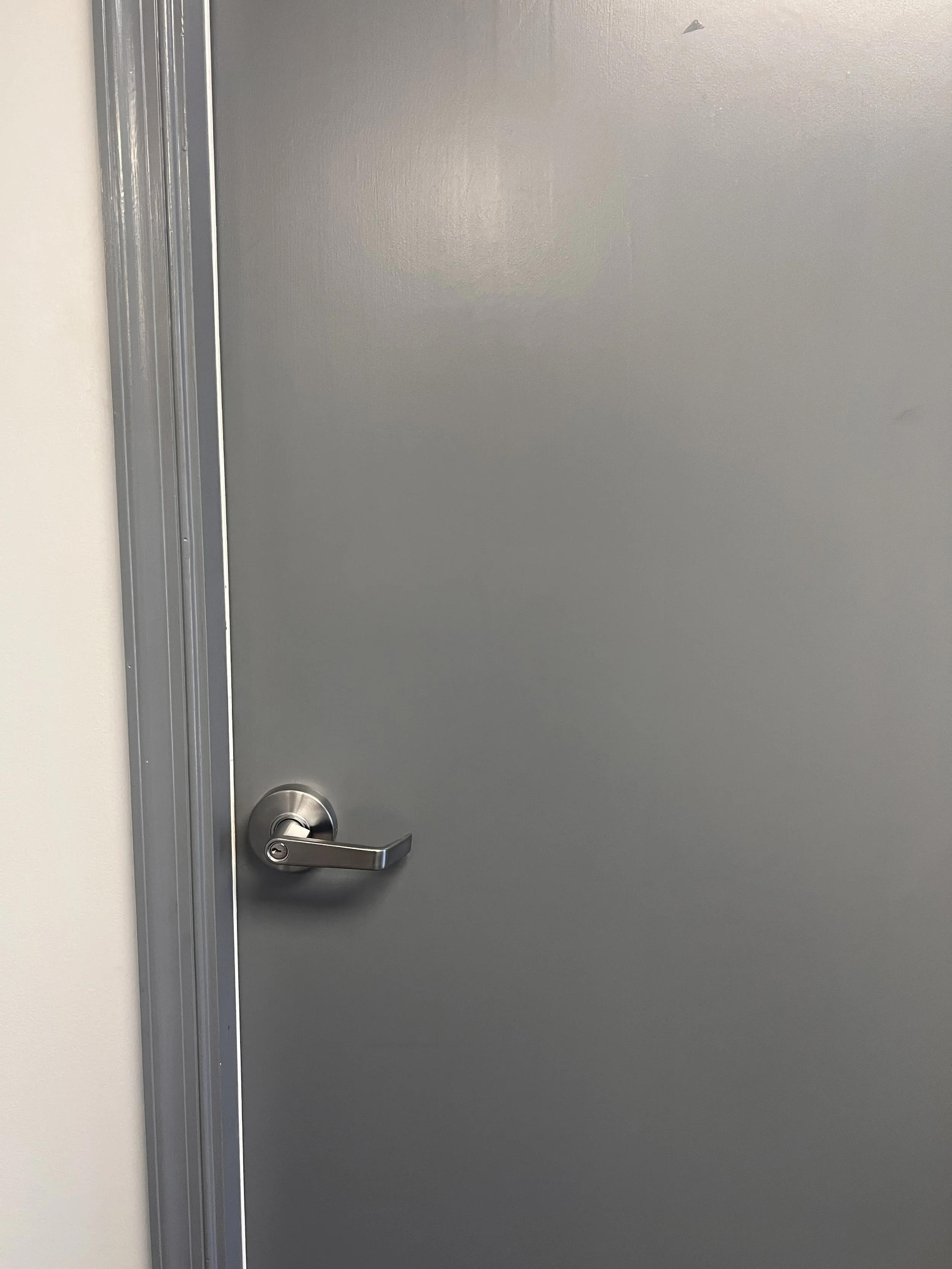 Commercial Handle Replacement - Apopka