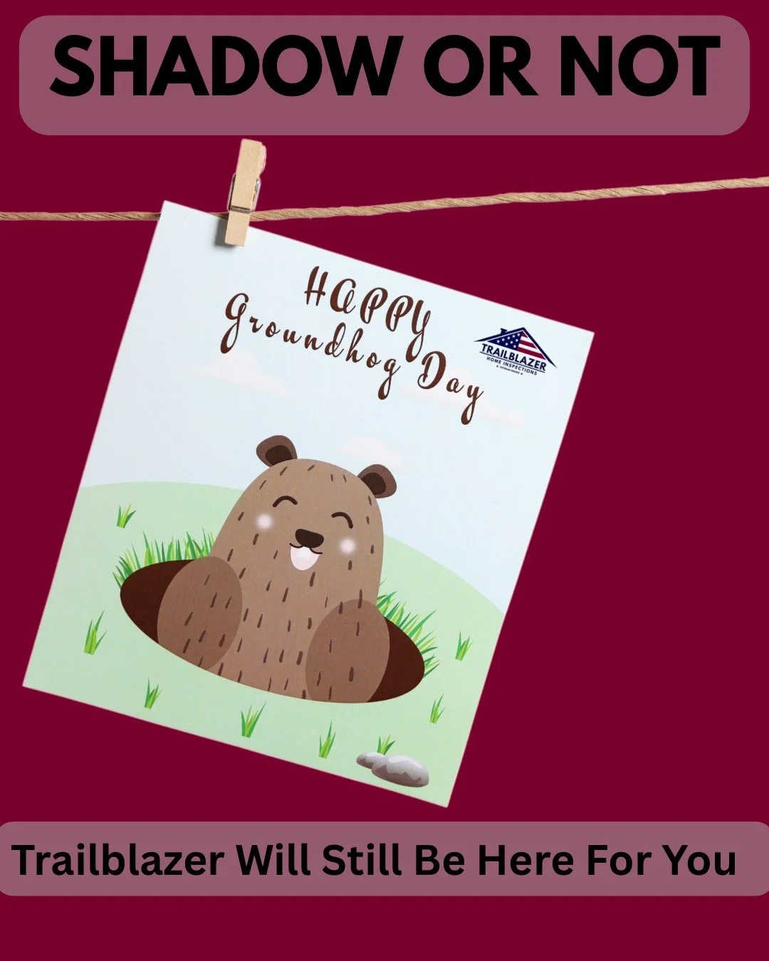 Shadow or no shadow, we&rsquo;re not going back into a hole. Whether it&rsquo;s 6 more weeks of winter or an early spring, Trailblazer is here for all your inspection needs.#trailblazerhomeinspections #groundhogday #newhome