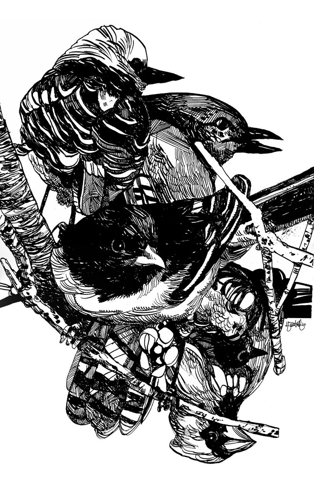 enrightbirds.jpeg