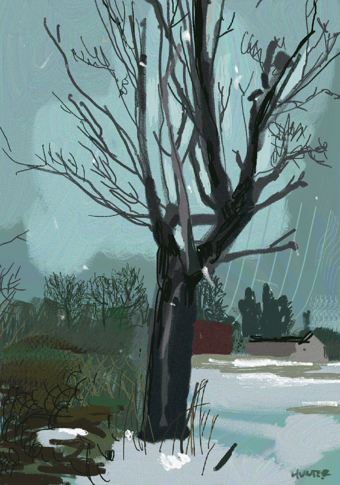 Winter Tree.png