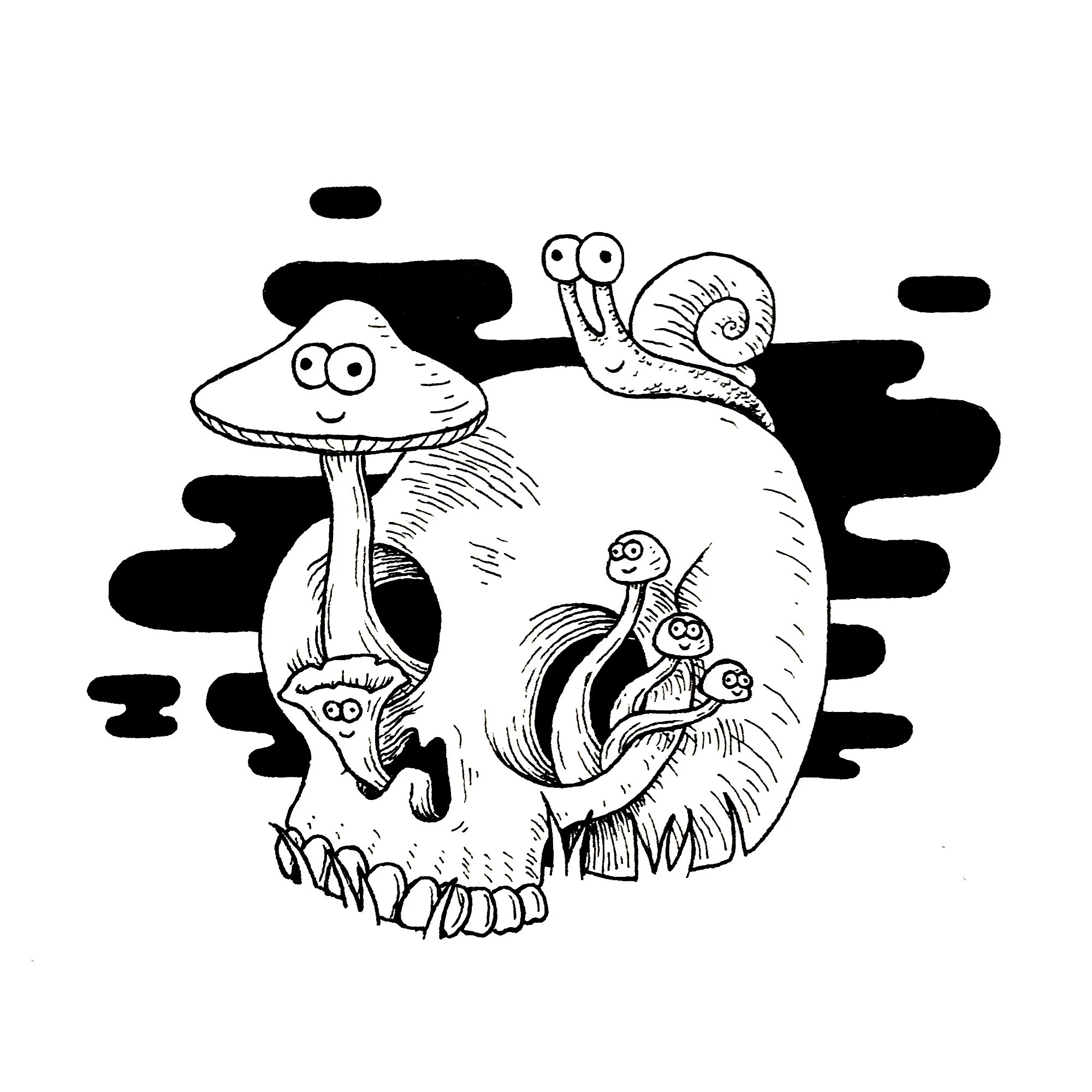 Growth and decay.jpg