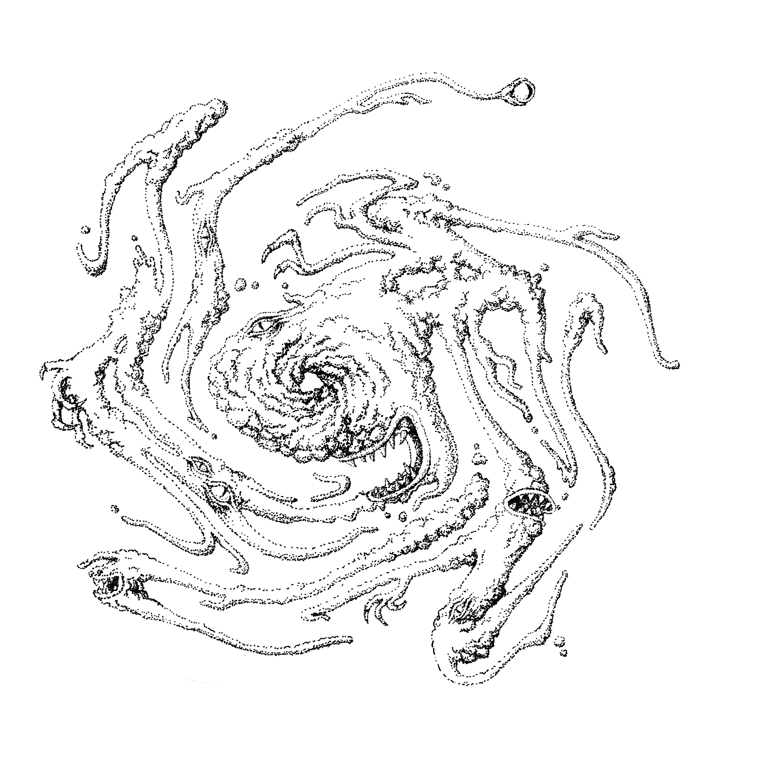 Front cover graphic png.png