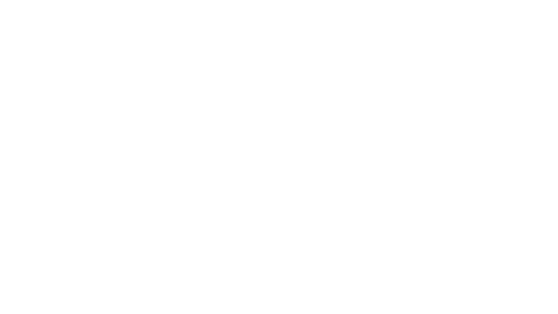 french website logos anna and salomon (4).png