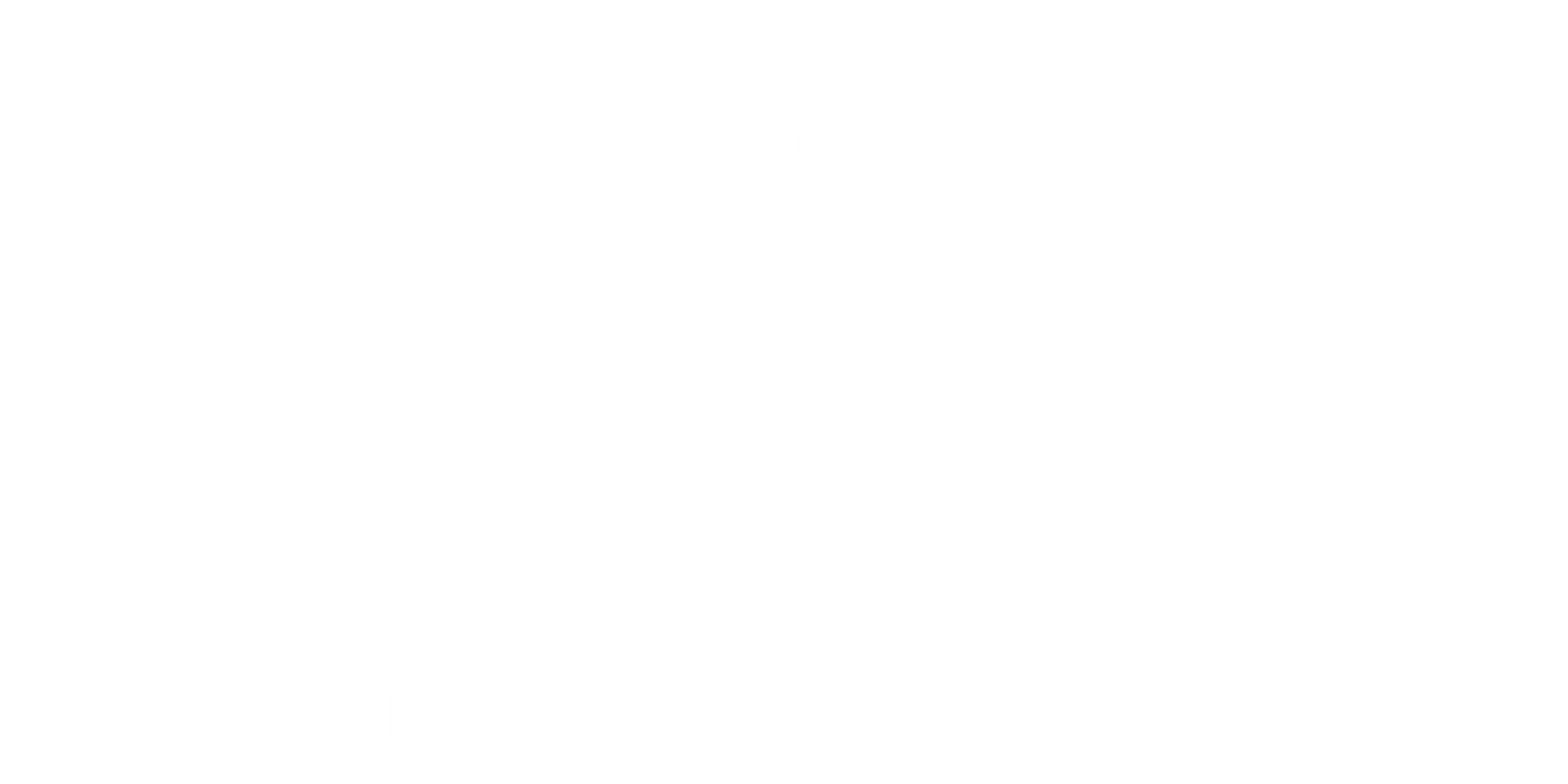 MSU.png