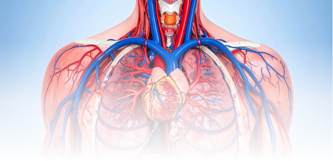 SIMULATING REALITY <em>The Value of Simulated Use Models in MedTech Development</em>