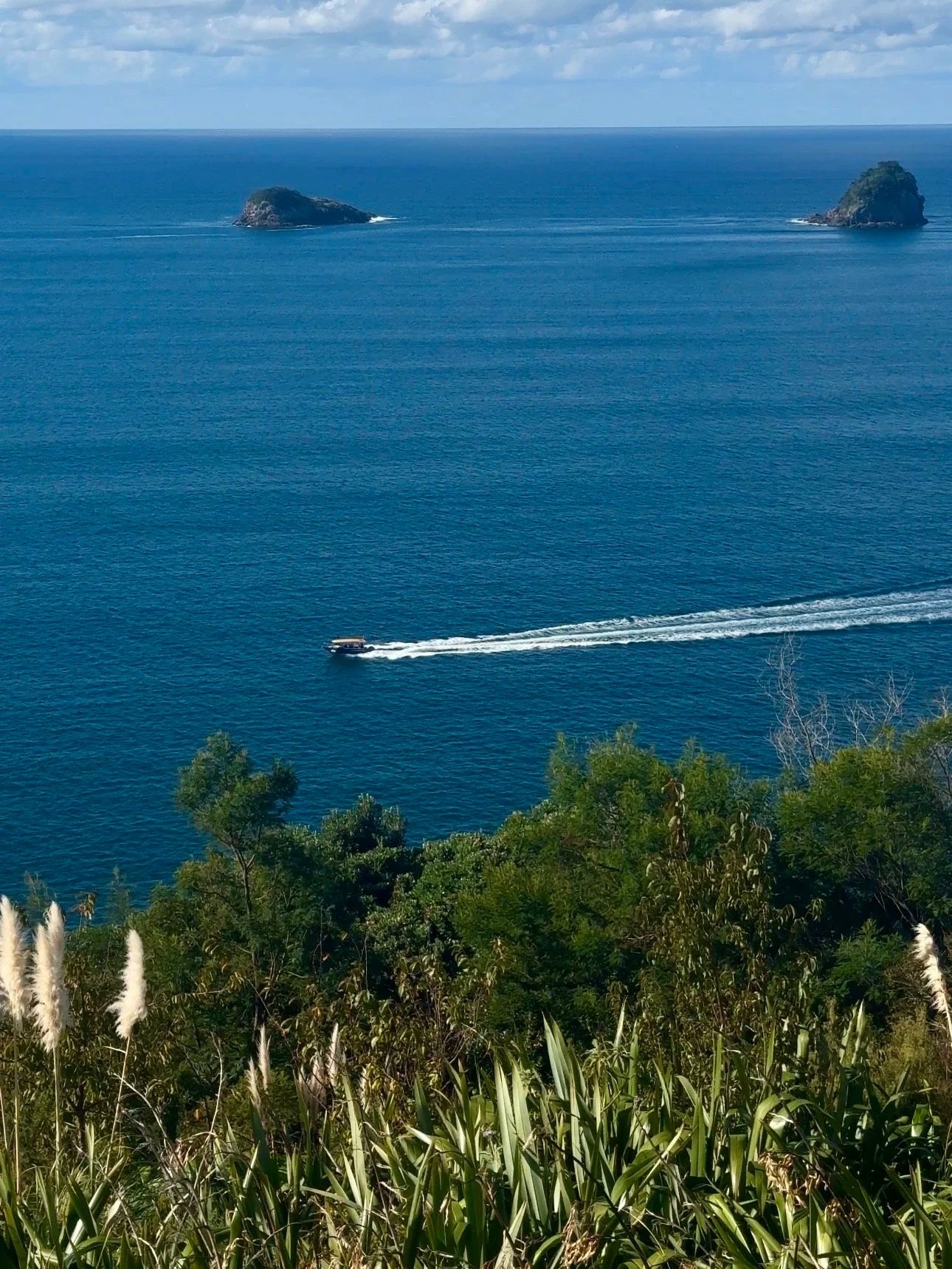 A blue ocean landscape with two small islands in the distance, a boat creating a wake as it moves across the water, and green foliage in the foreground under a partly cloudy sky.