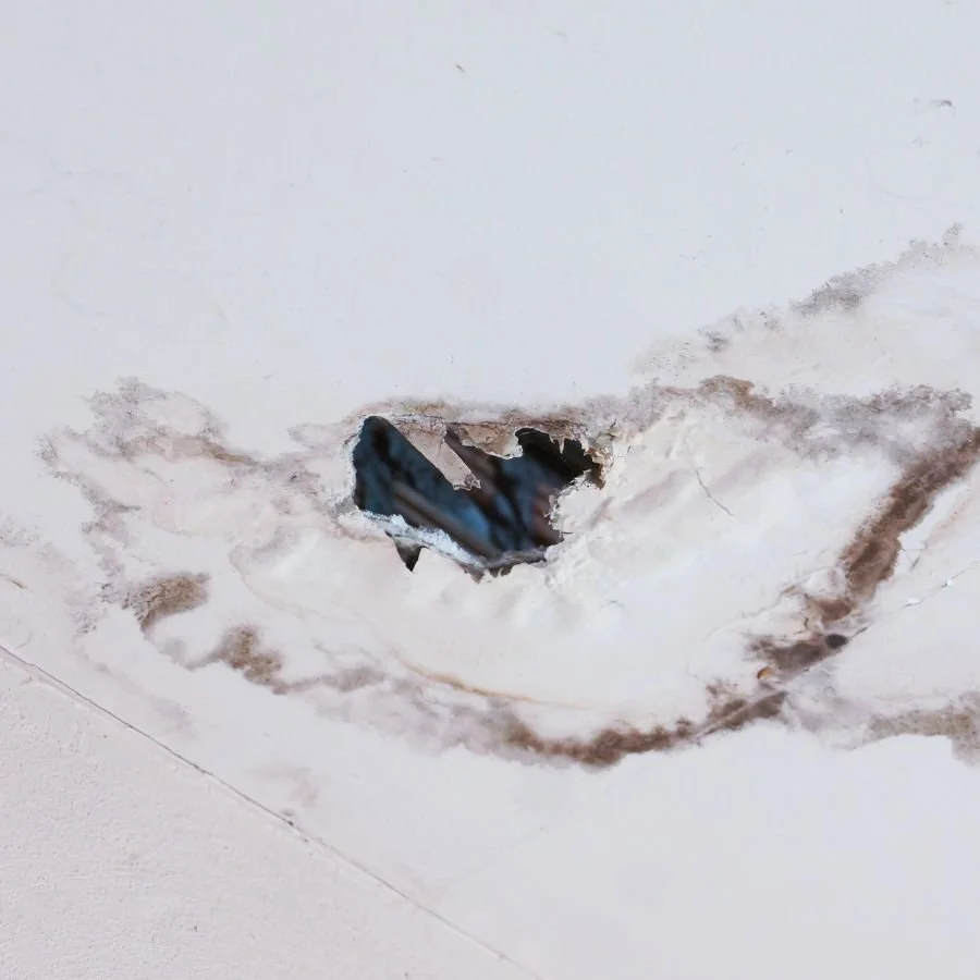 Emergency Roof Repair in Bellingham: What to Do When Your Roof Is Failing