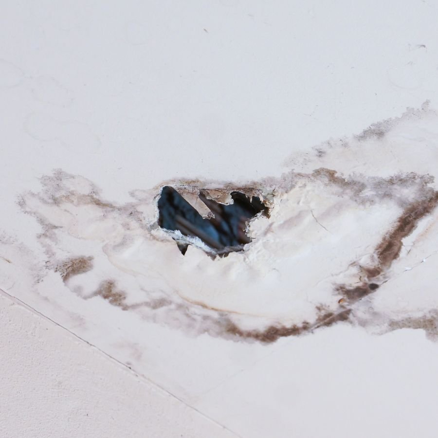 Emergency Roof Repair in Bellingham: What to Do When Your Roof Is Failing