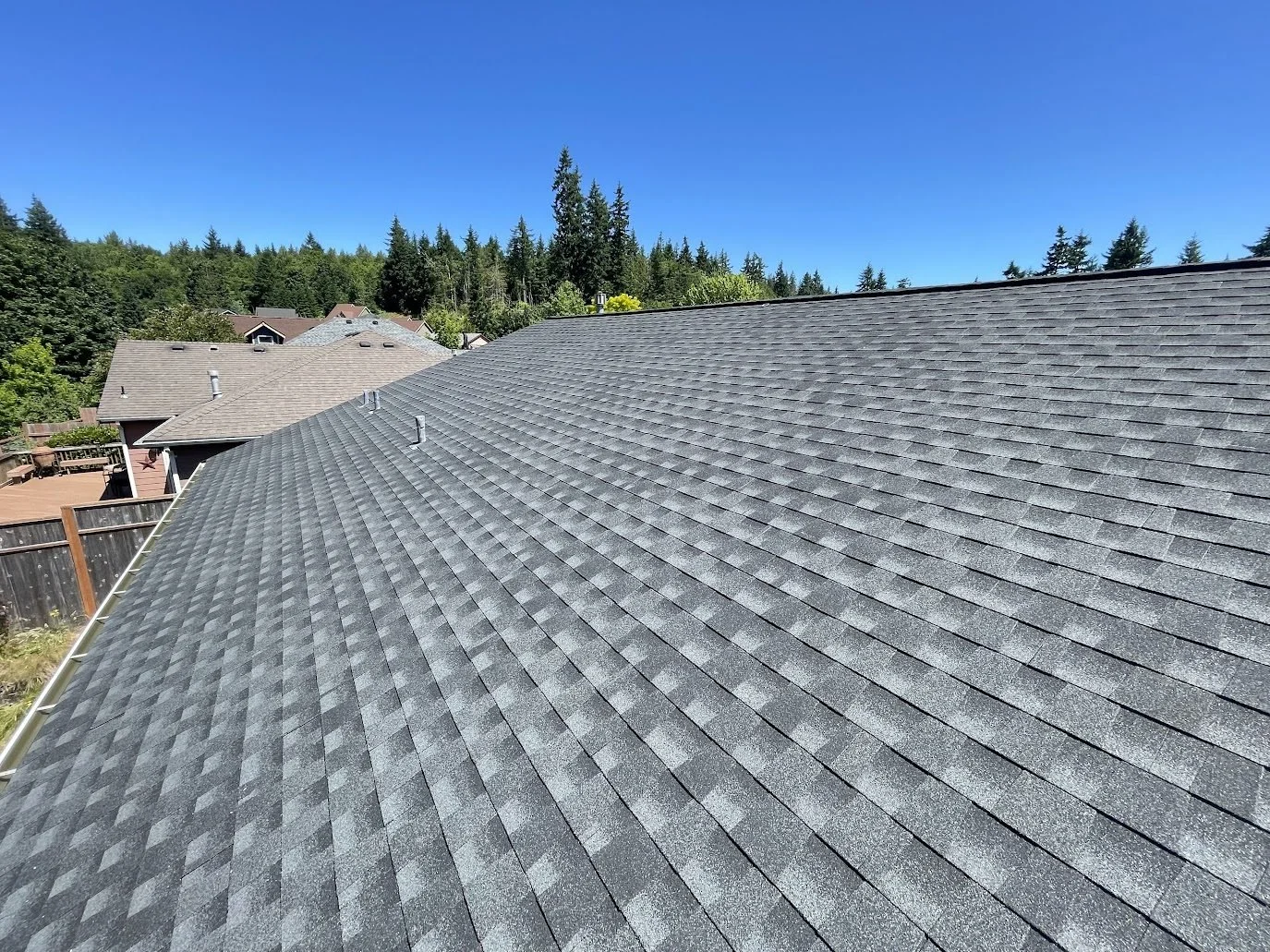 Gray shingle roof surrounded by tall evergreen trees