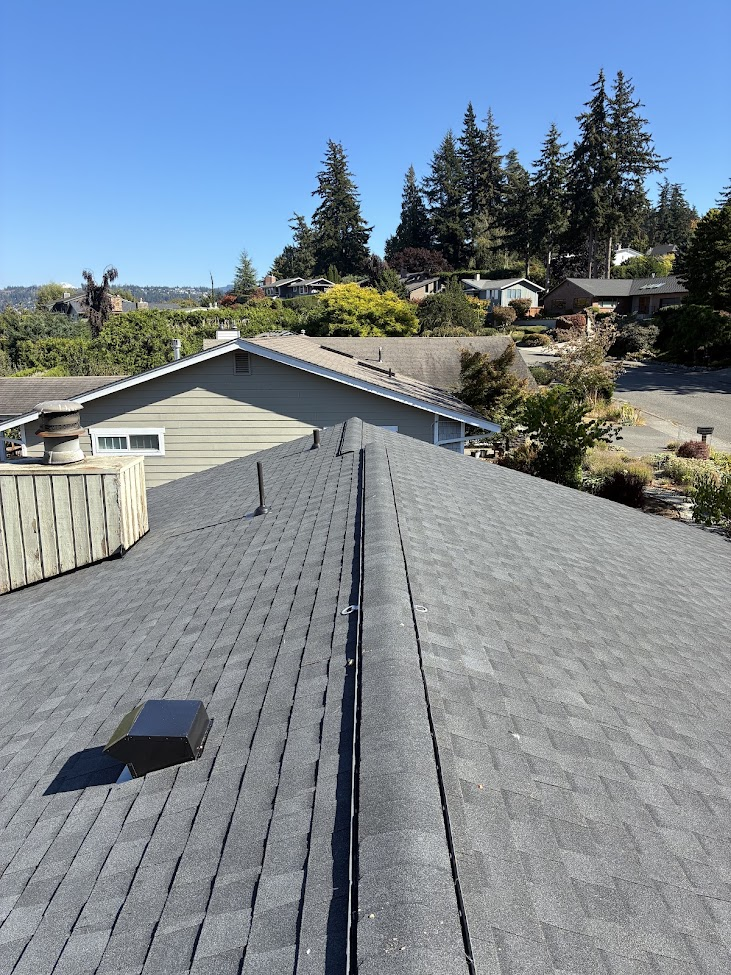 Finished Topside roof with neighborhood view