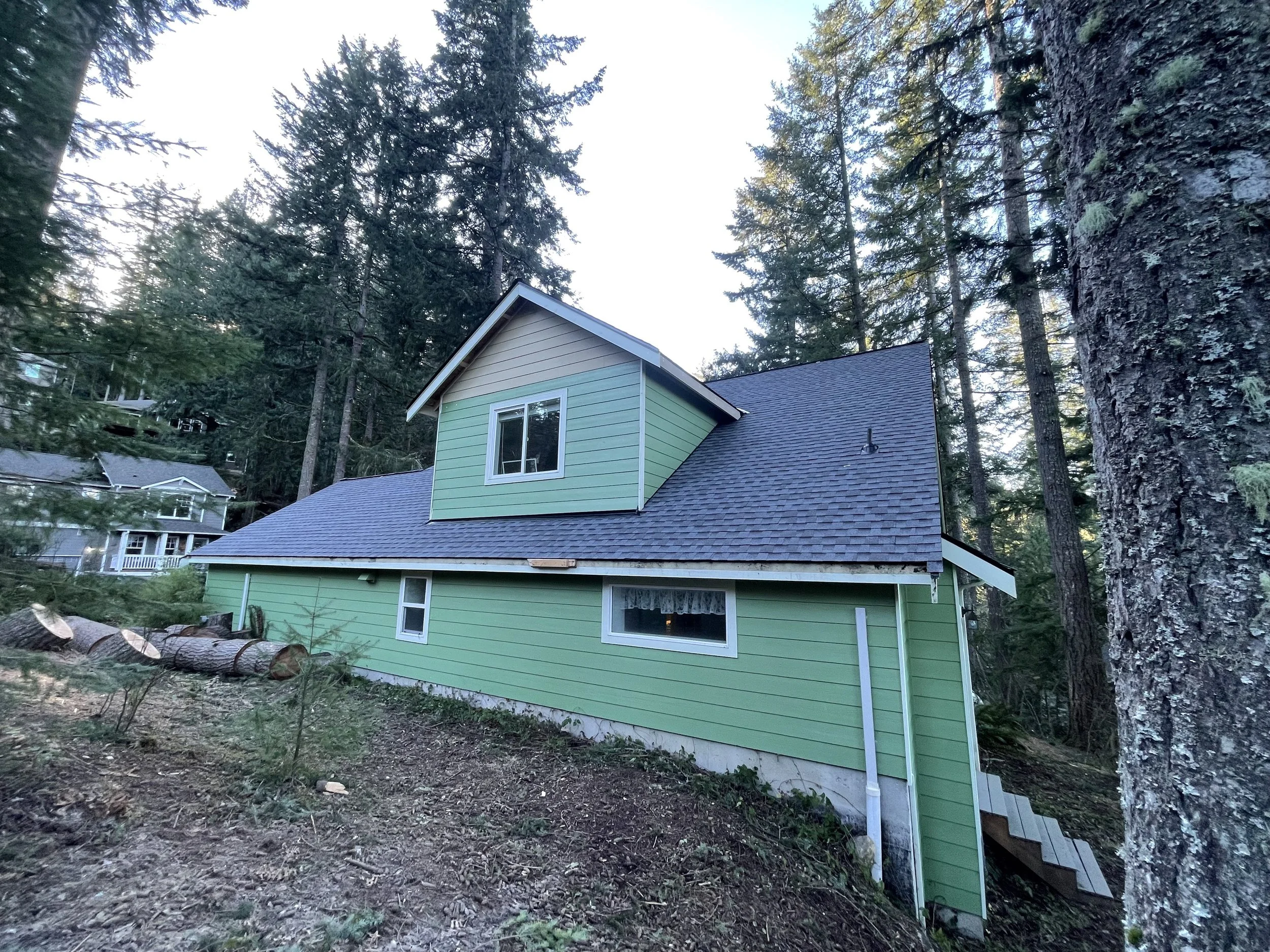 A green house with a dark gray roof surrounded by tall trees, with a staircase leading down on the right side.