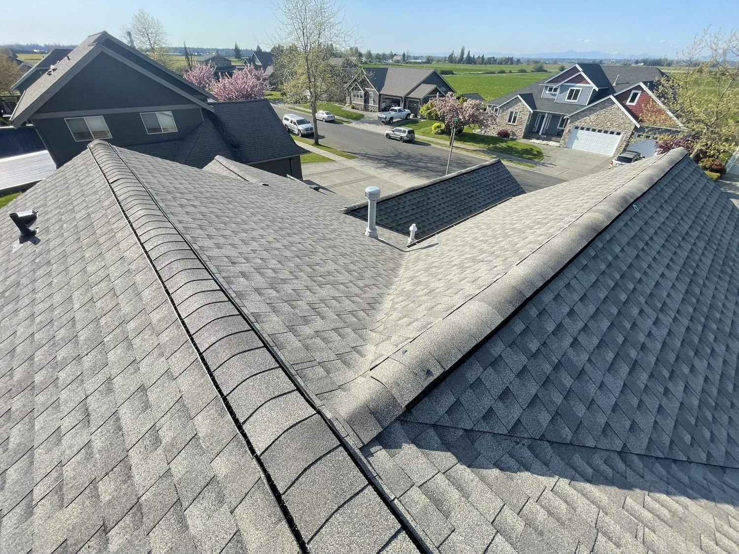 Gray shingle roof with ridge vent over a Skagit Valley neighborhood