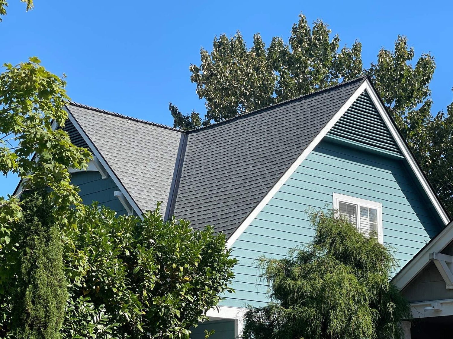 Dark shingle roof on a blue two-story home