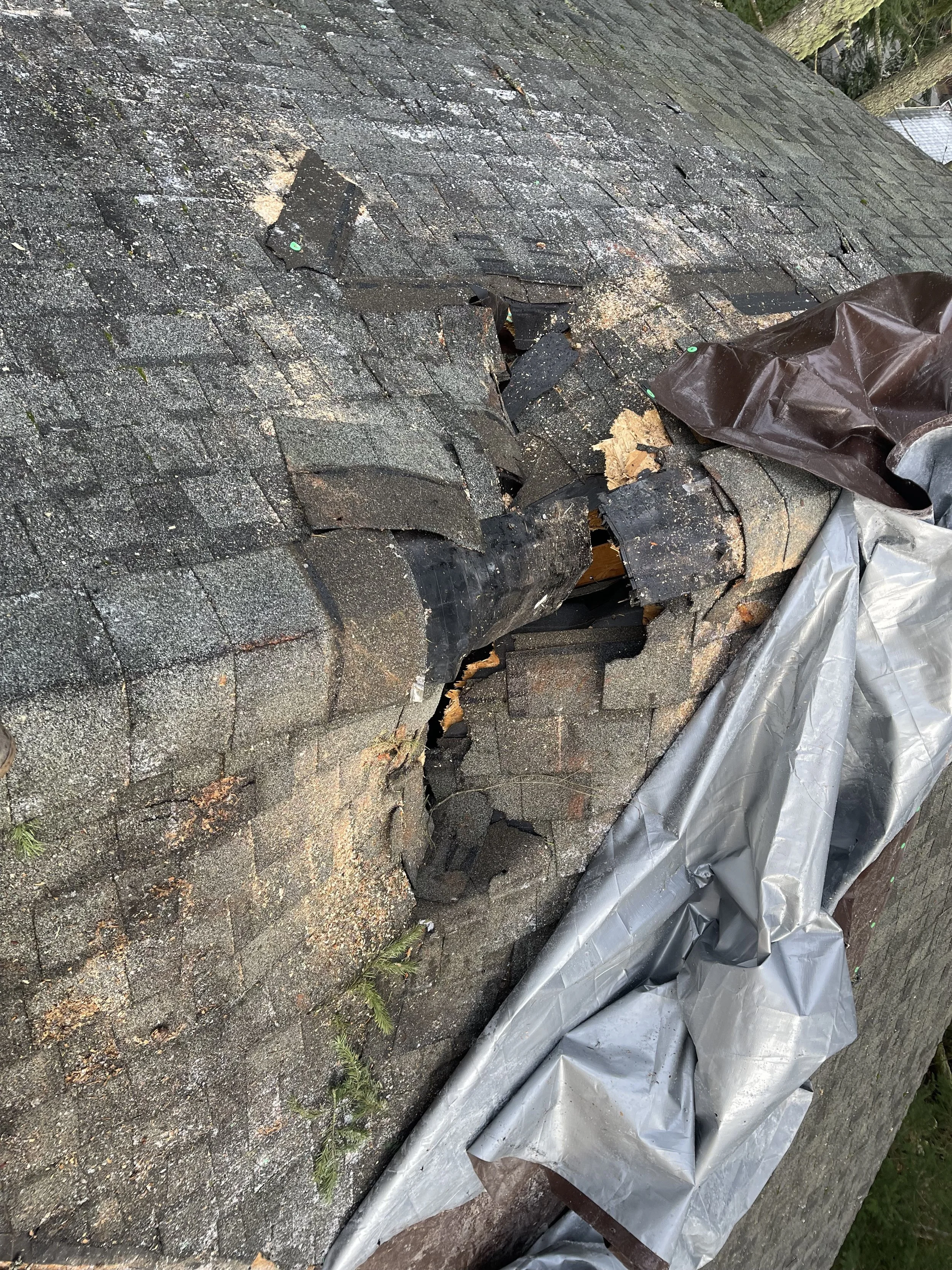 Damaged asphalt roof shingles with a hole and missing pieces, covered partially with gray and brown plastic sheeting.
