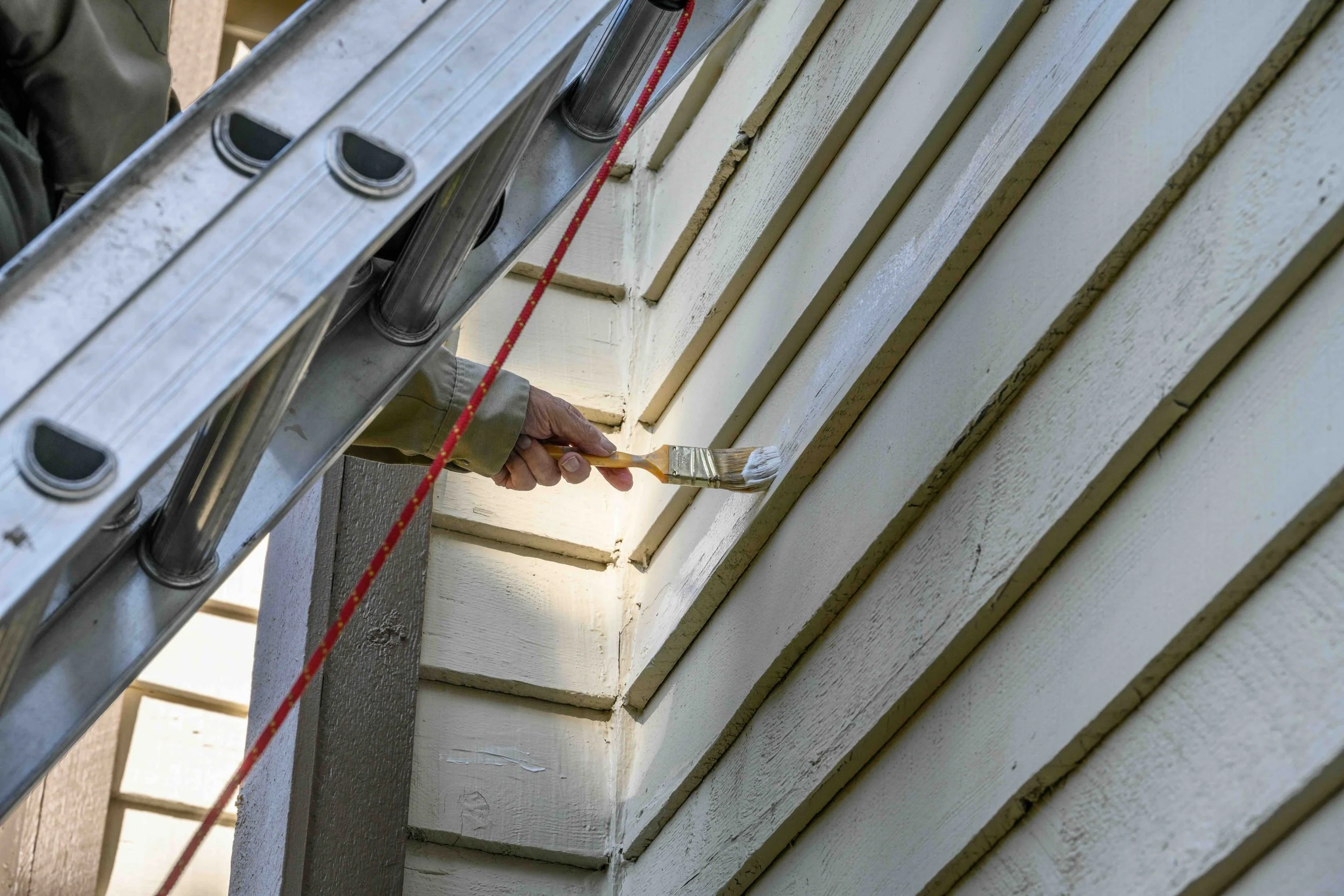 Reasons You Should Paint Your Home in Spring