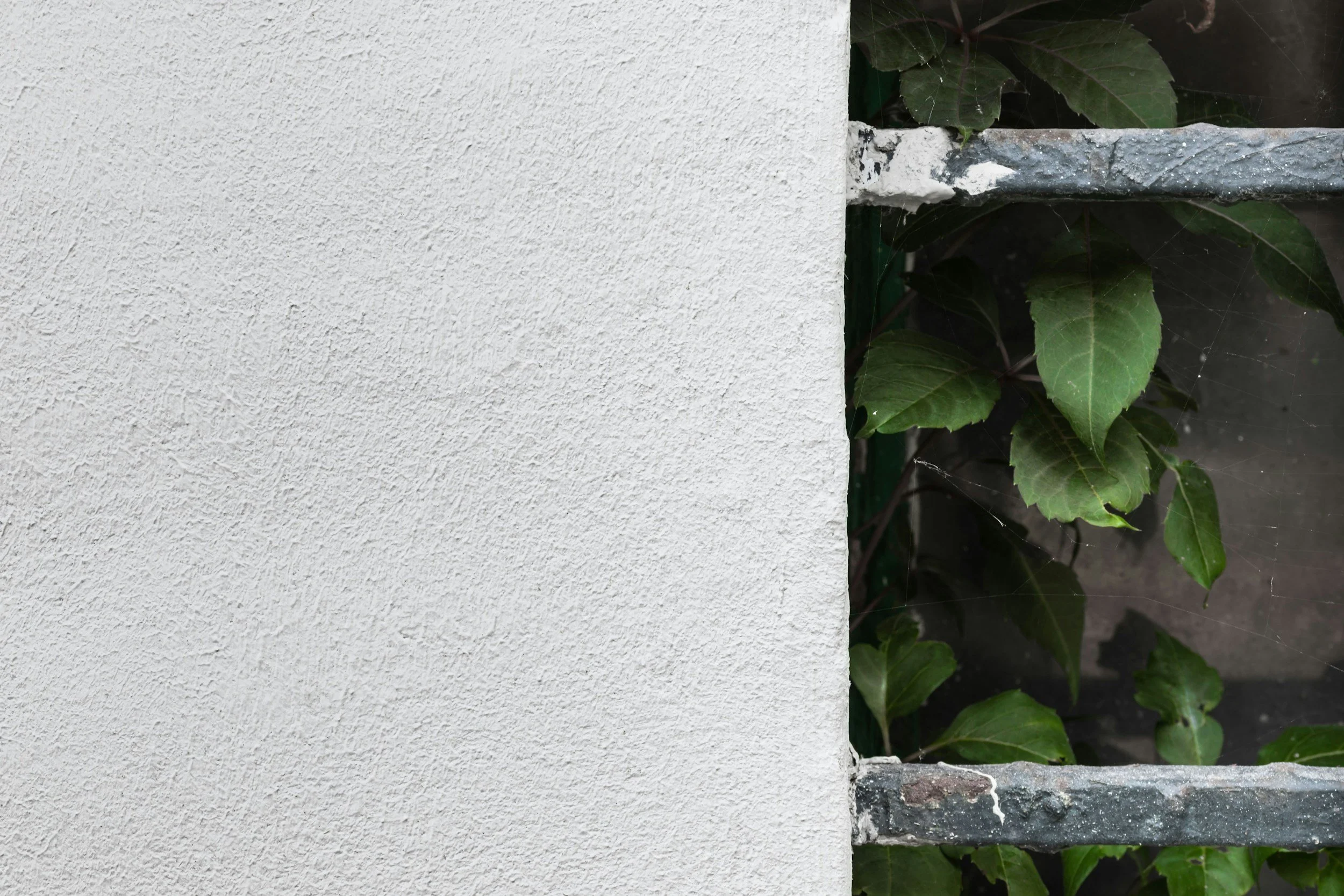 How to Paint Stucco Like a Pro: Essential Tips for a Lasting and Beautiful Finish