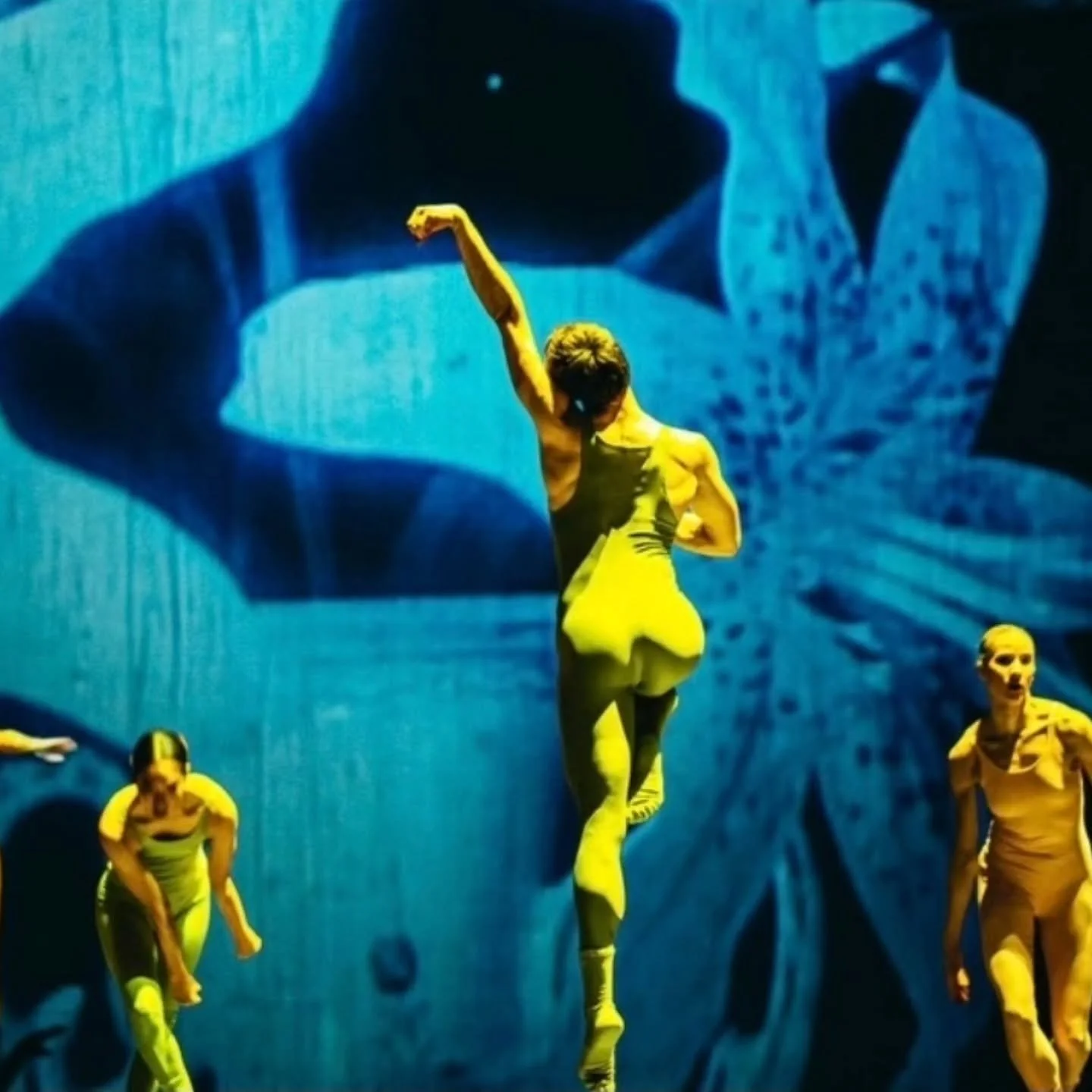 @ndtdance presents their new programme 'Wildsong', where they dive into the dynamic and surreal worlds of two acclaimed makers that highlight the unique versatility of the NDT 1 dancers. They revisit the much loved and theatrical 'Horses' by associat