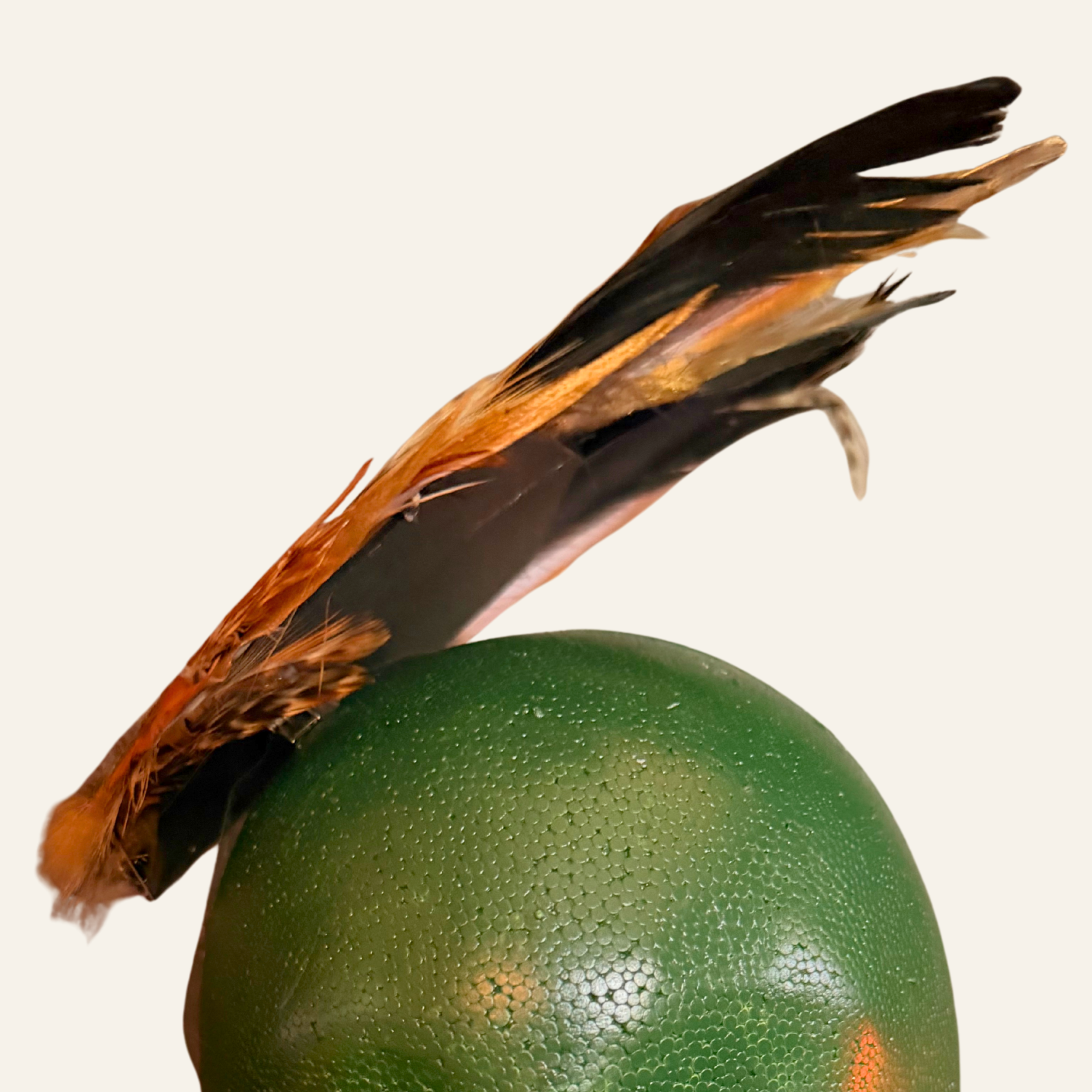 snake in the parlour - 145 (2).png