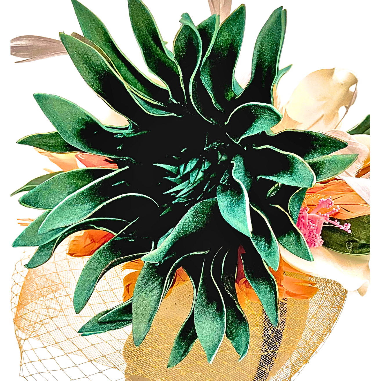 FASCINATORS (64).png