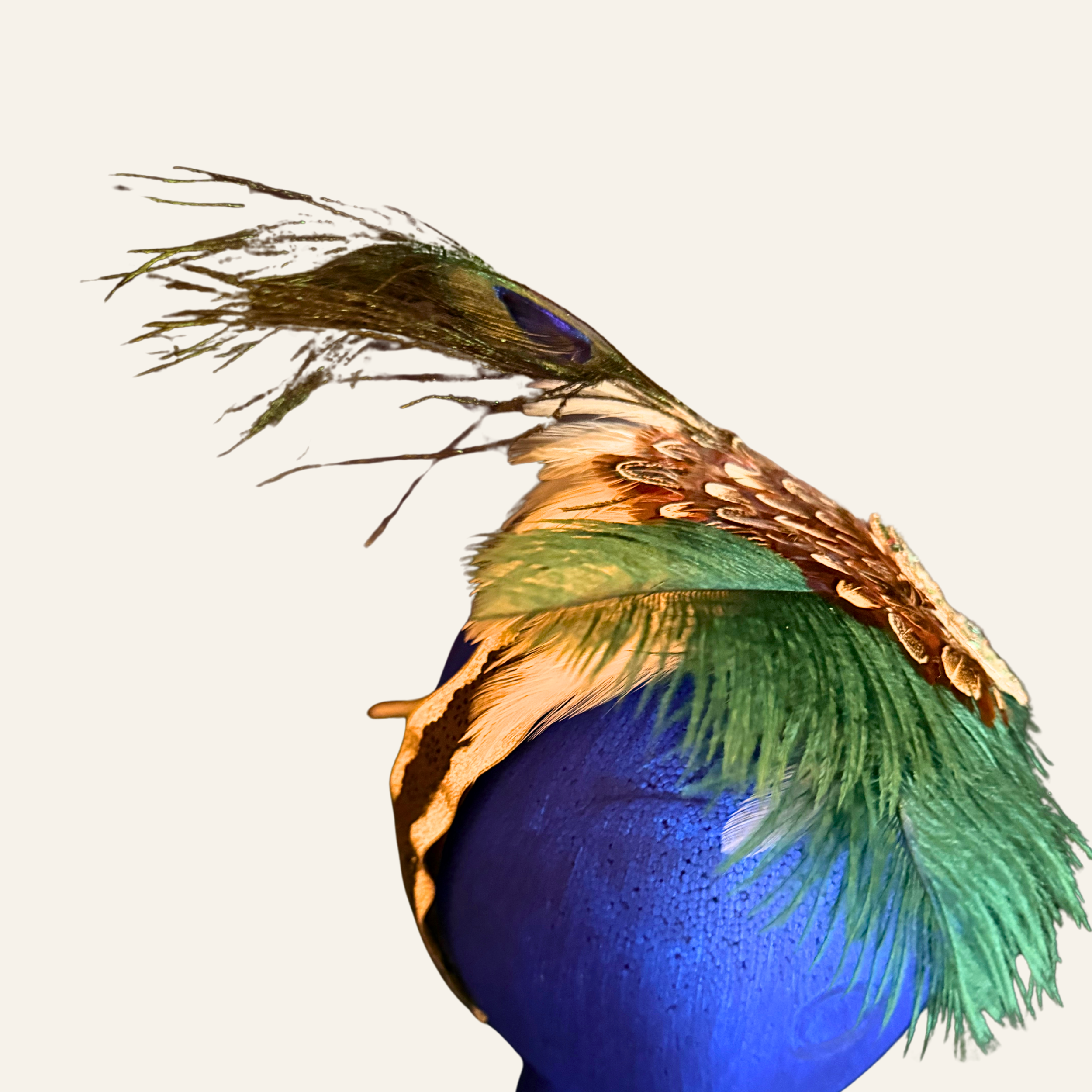 224.png