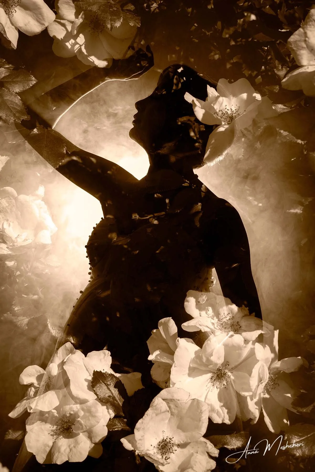 Maternity Double Exposure with White Roses