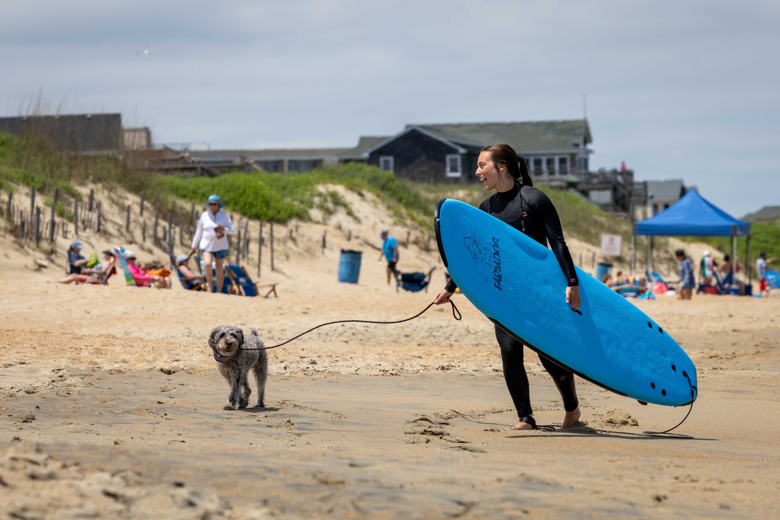 Woman in wetsuit carrying blue surfboard, walking a fluffy gray dog on a beach with people relaxing in the background.