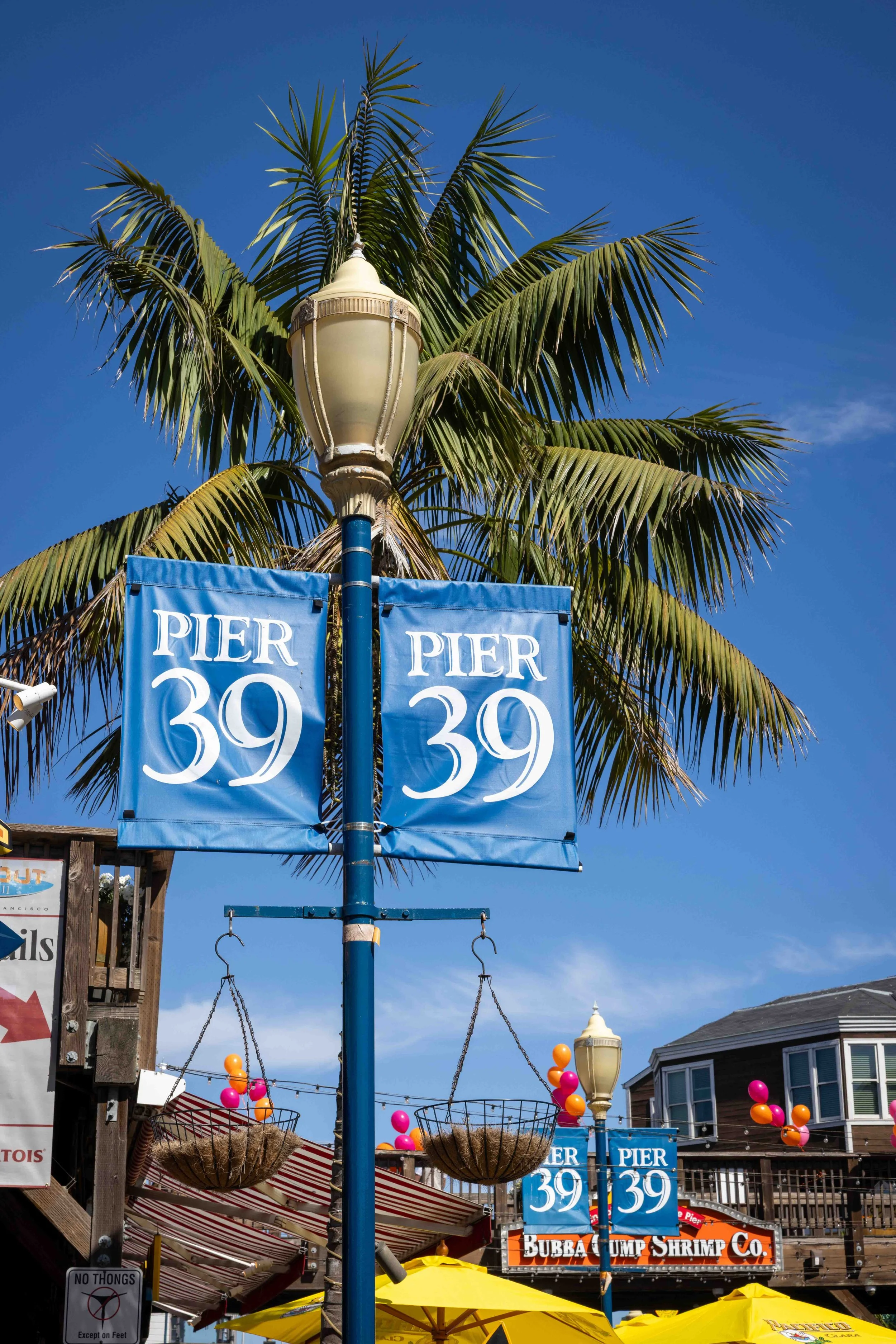 Street scene at Pier 39 with a palm tree, banners, balloons, and various storefronts in San Francisco.