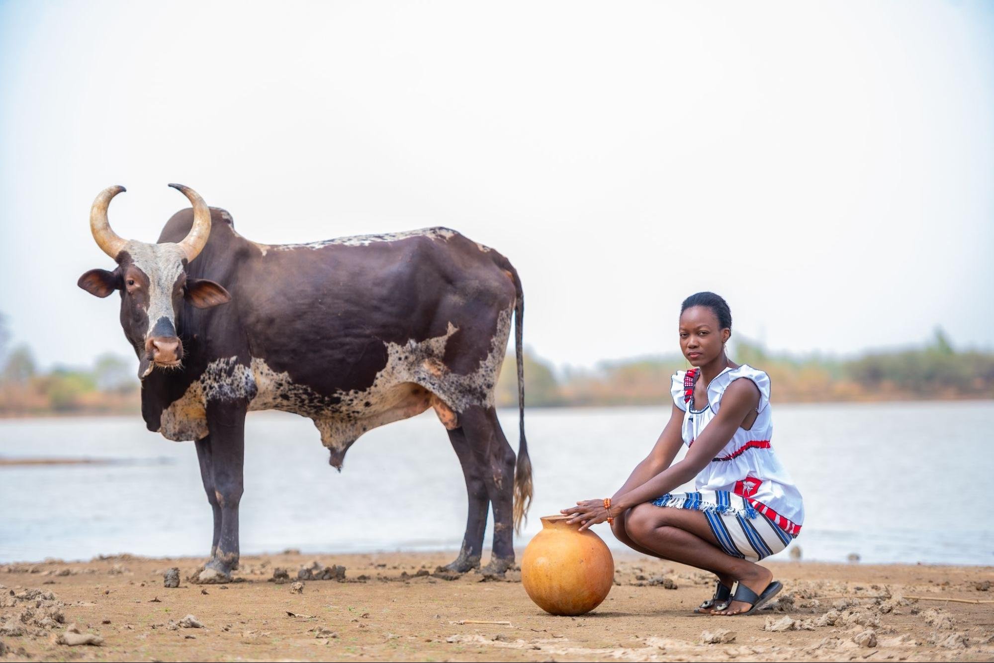 How Chasing Cows Made Me Feel Like a Hero And Why Challenges Matter