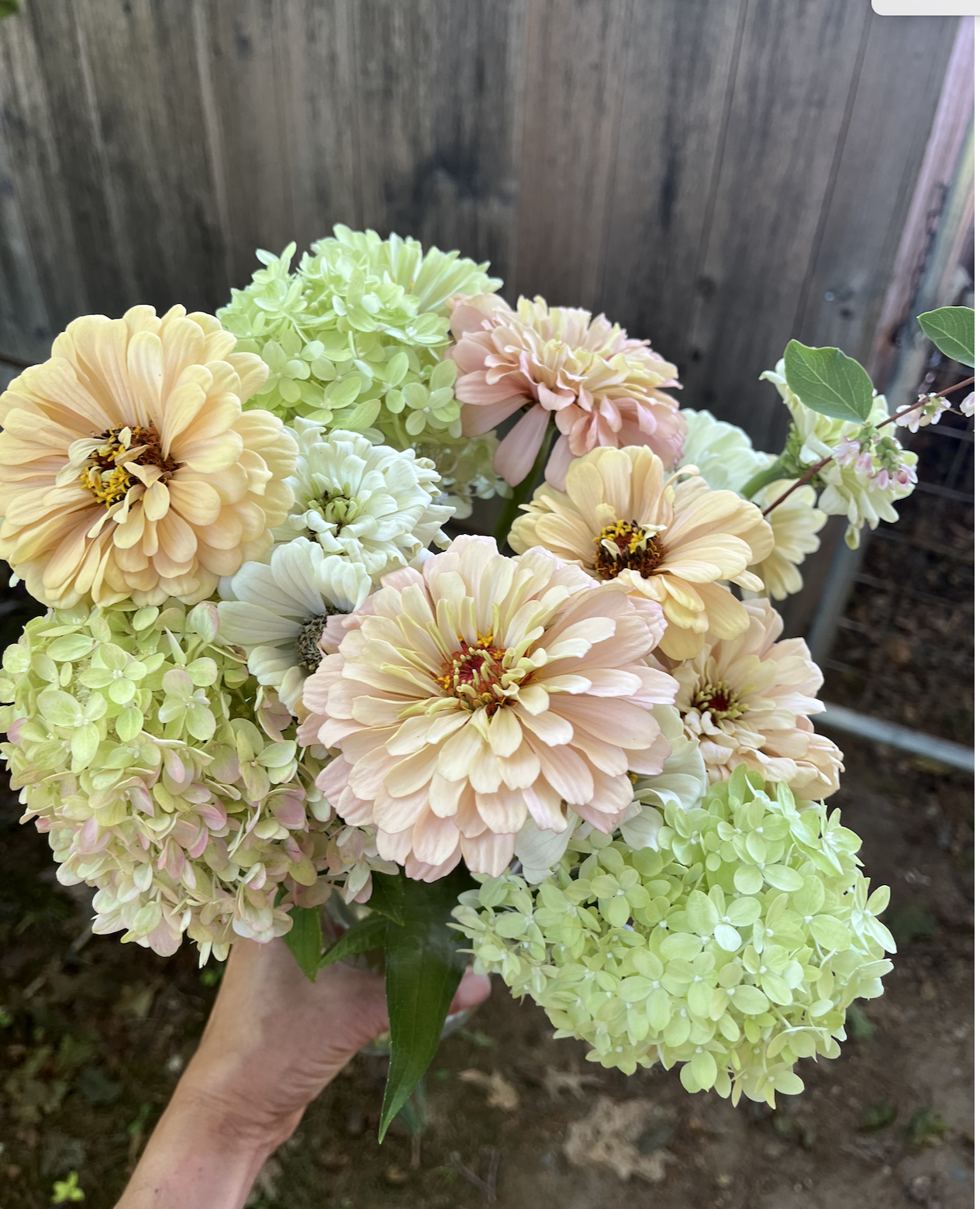 Screen Shot 2025-12-10 at 8.30.47 PM.png