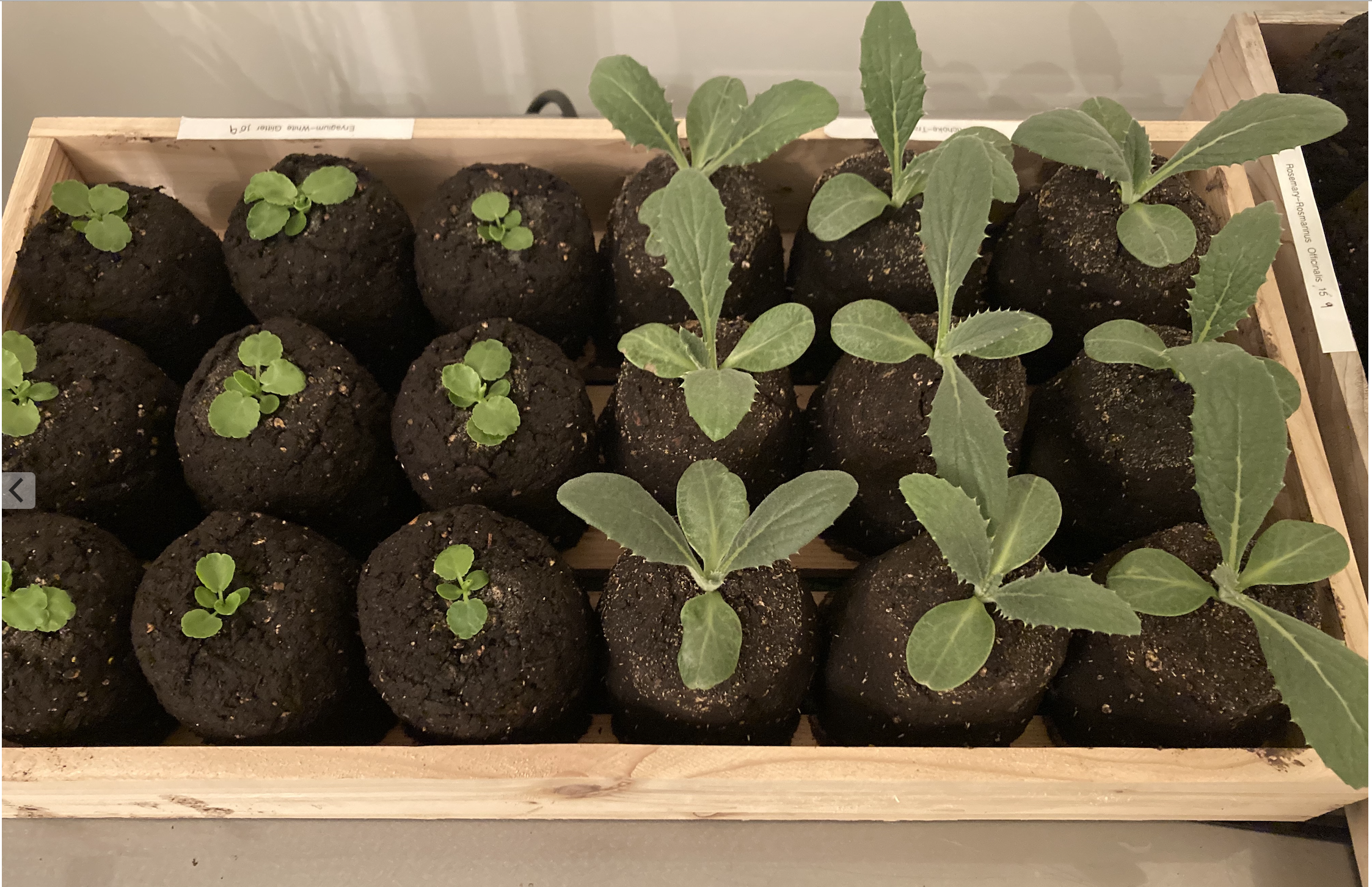 Screen Shot 2026-01-18 at 5.43.49 AM.png