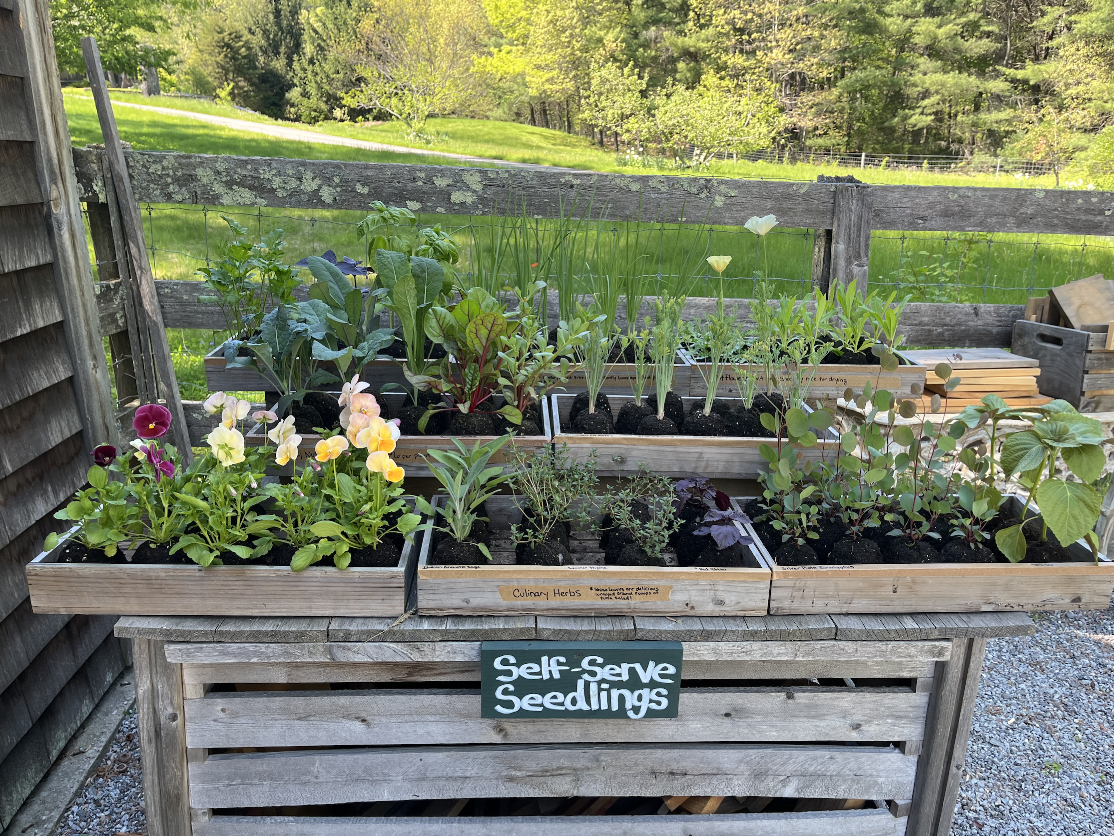 Screen Shot 2025-12-10 at 8.29.37 PM.png