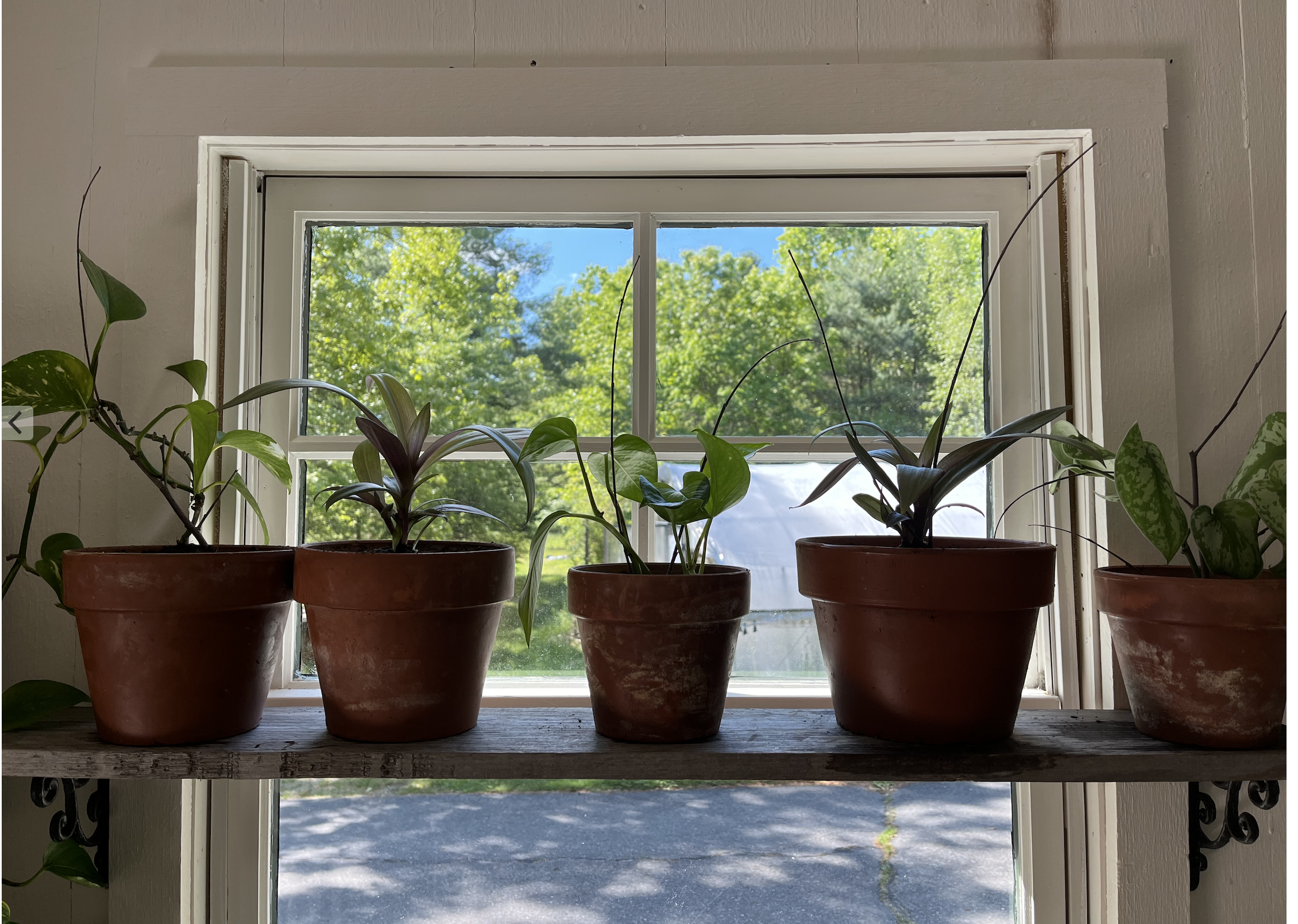 Screen Shot 2025-12-10 at 8.30.14 PM.png