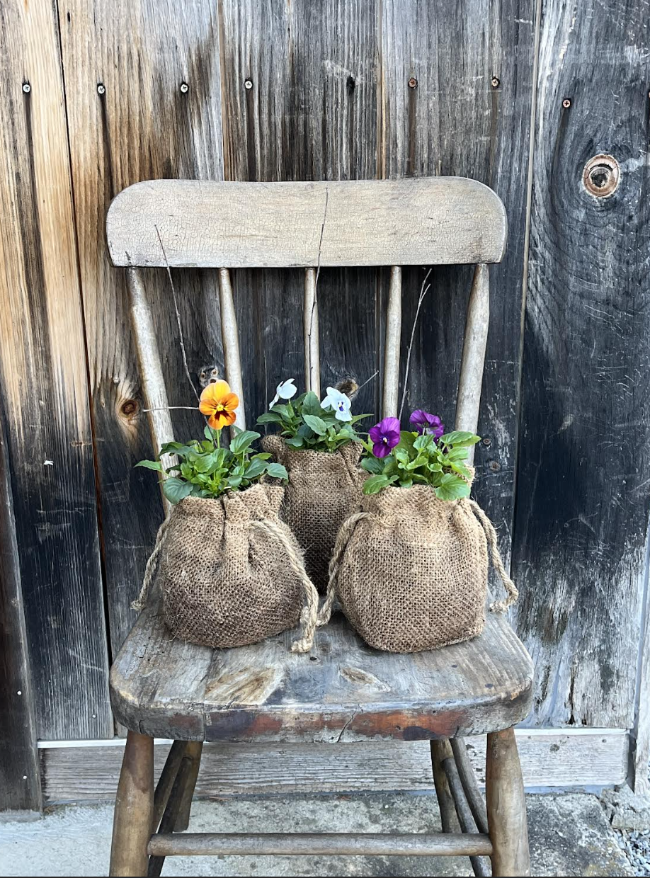 violas in burlap.png