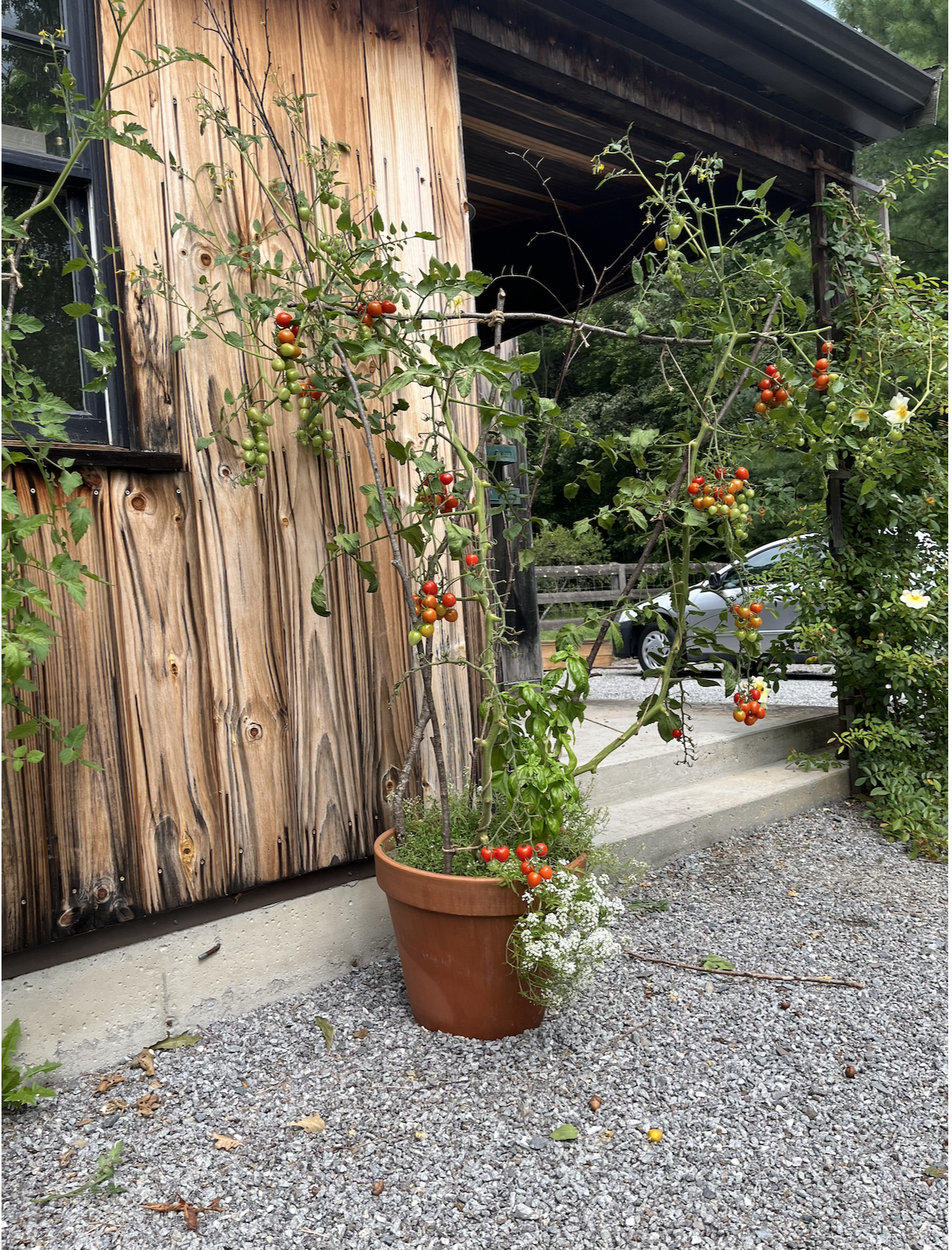 Screen Shot 2025-12-10 at 8.35.18 PM.png