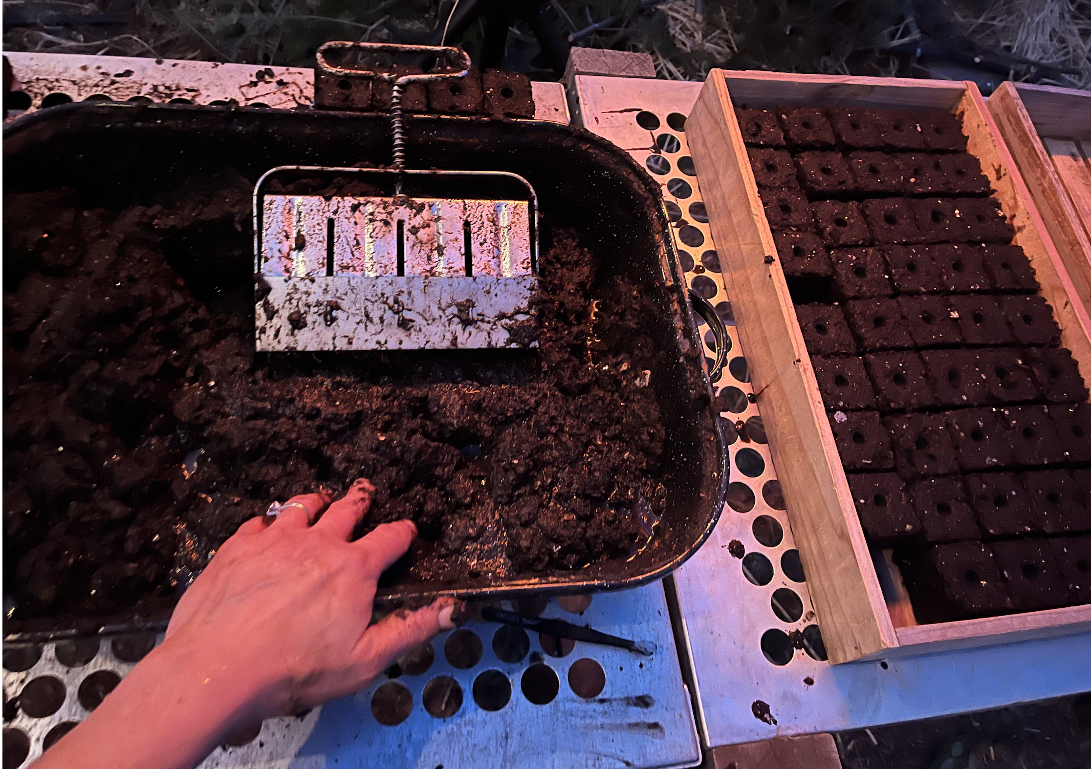 Screen Shot 2026-01-18 at 5.42.04 AM.png