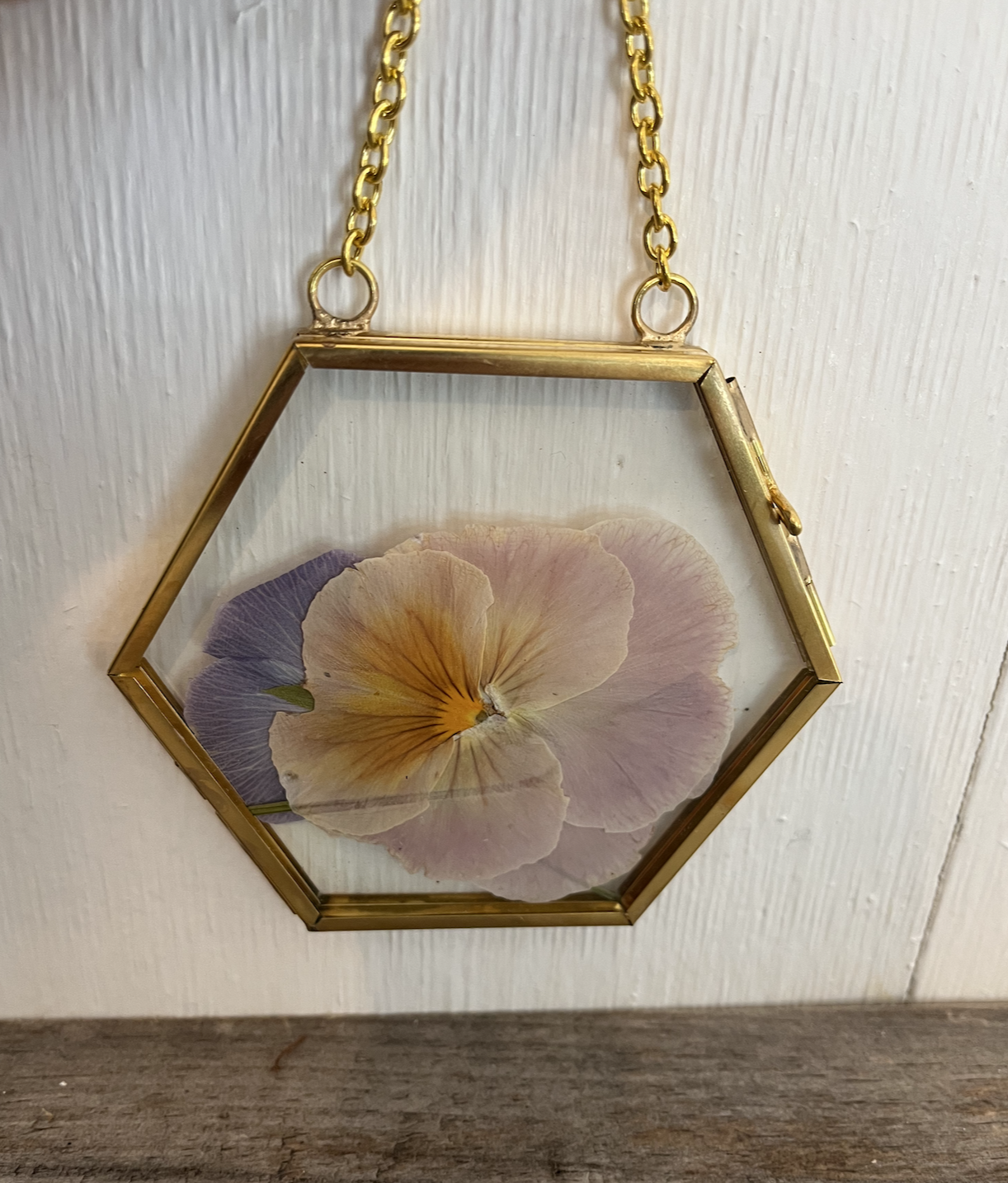 Gold frame ornament 1-Viola.png