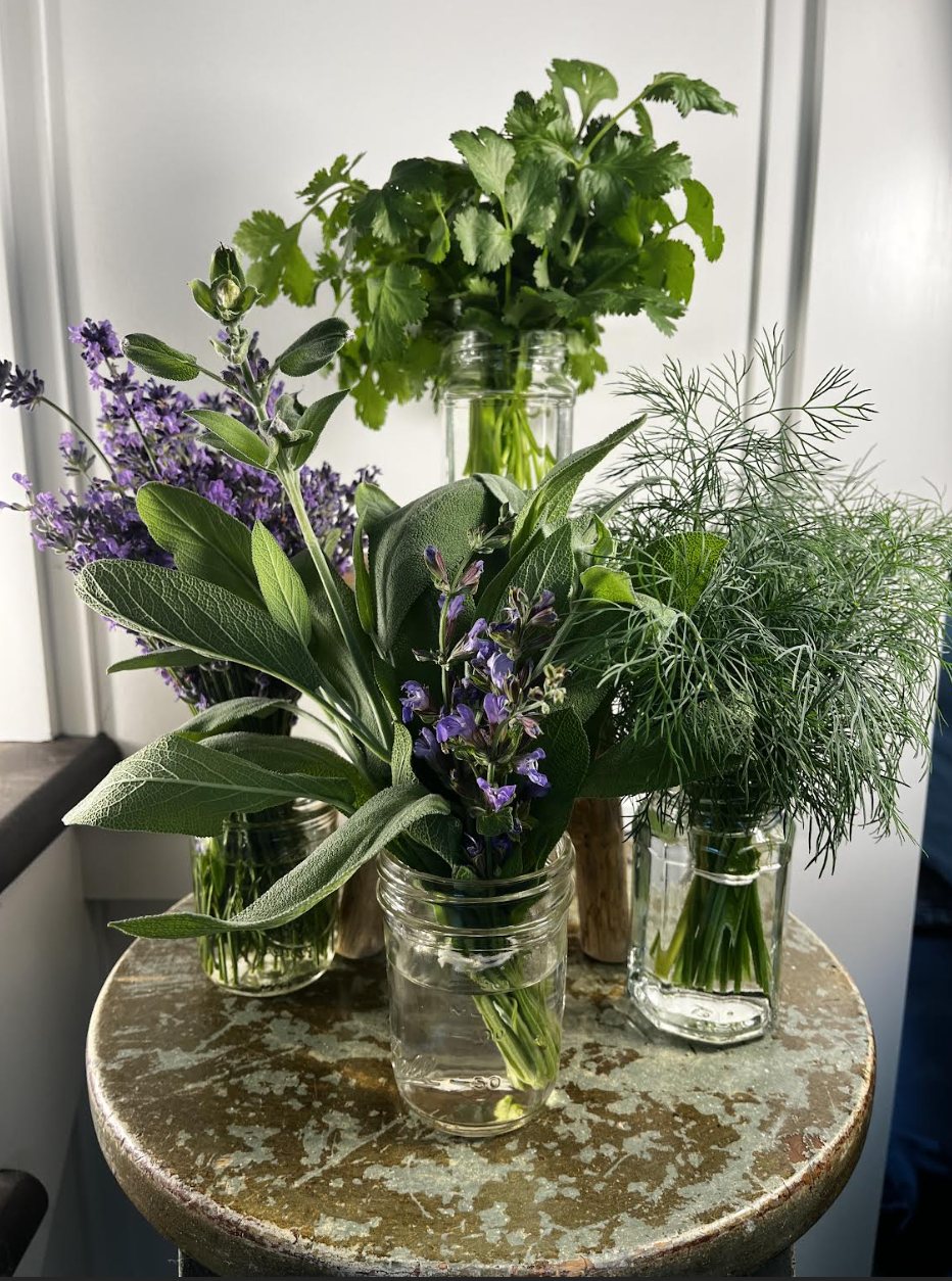 herbs in house.png