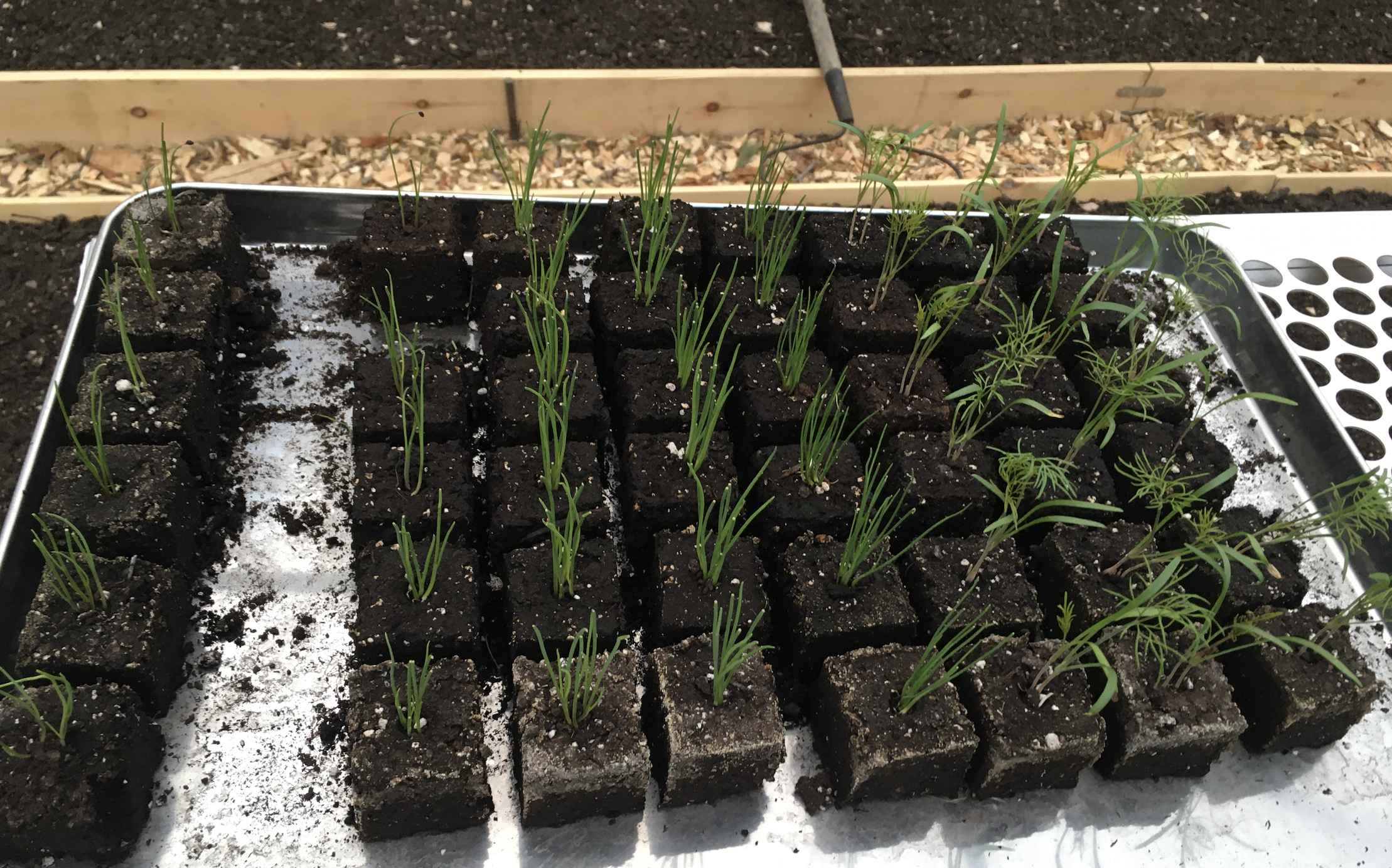 Screen Shot 2026-01-18 at 6.32.58 AM.png