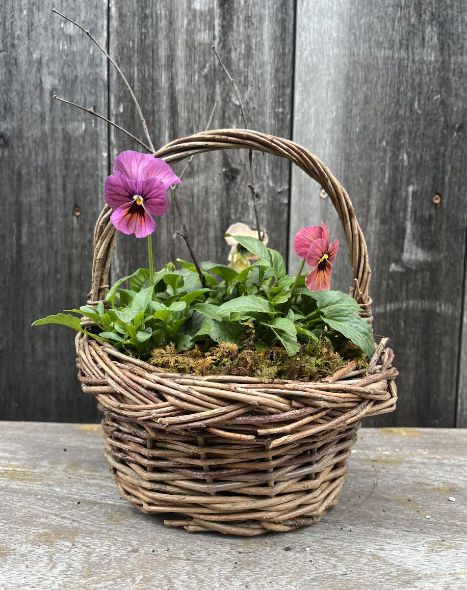 viola basket.png
